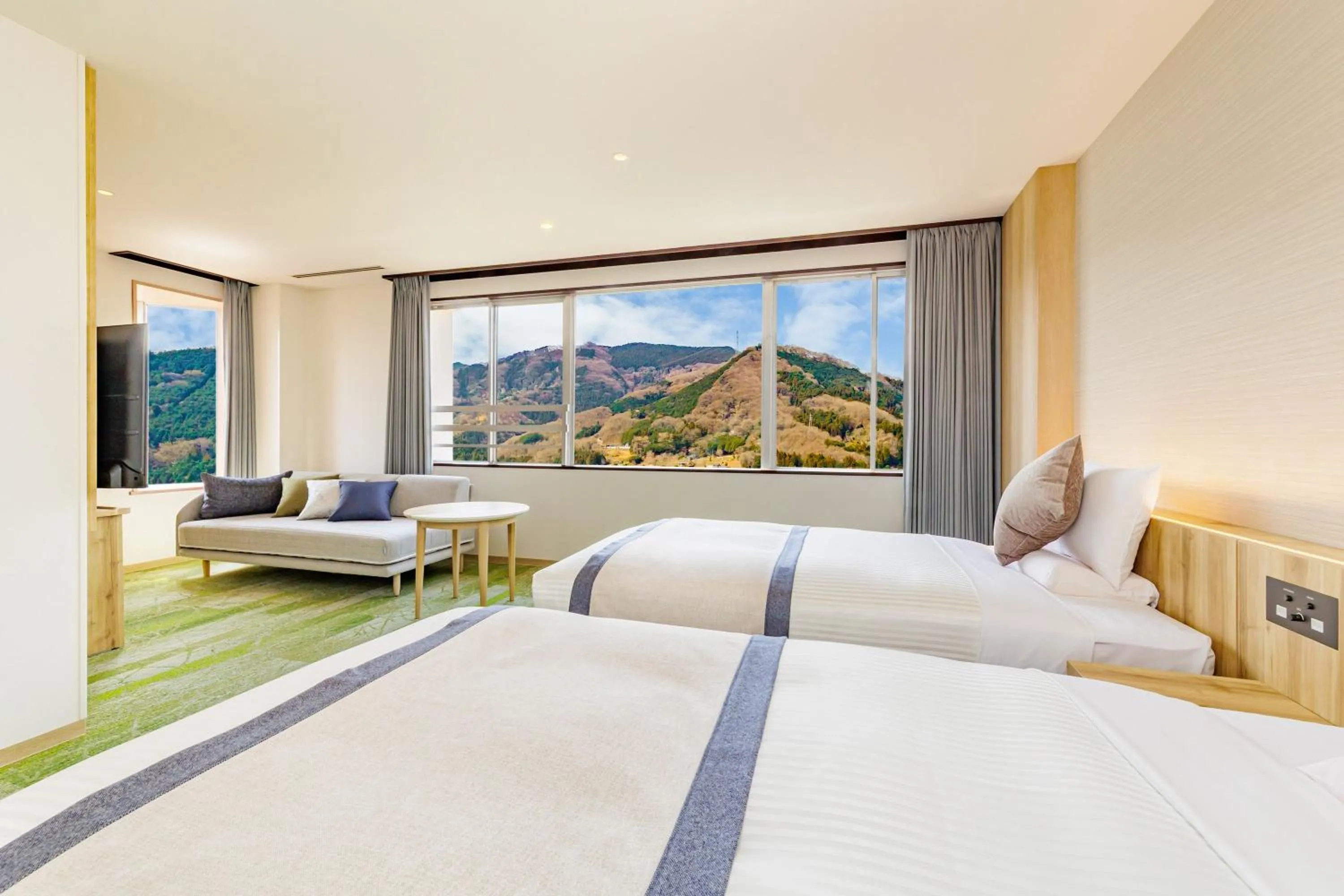 Accessible room (With Private Bath) - single occupancy in KAMENOI HOTEL Nagatoro Yorii