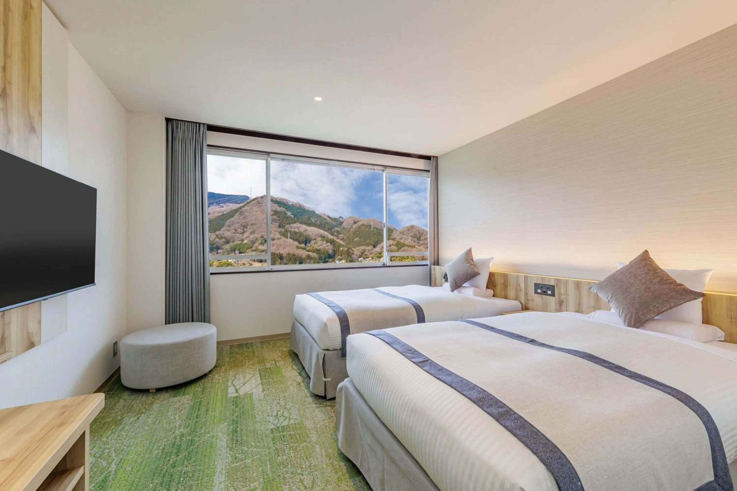 Twin Room with Bath - single occupancy in KAMENOI HOTEL Nagatoro Yorii