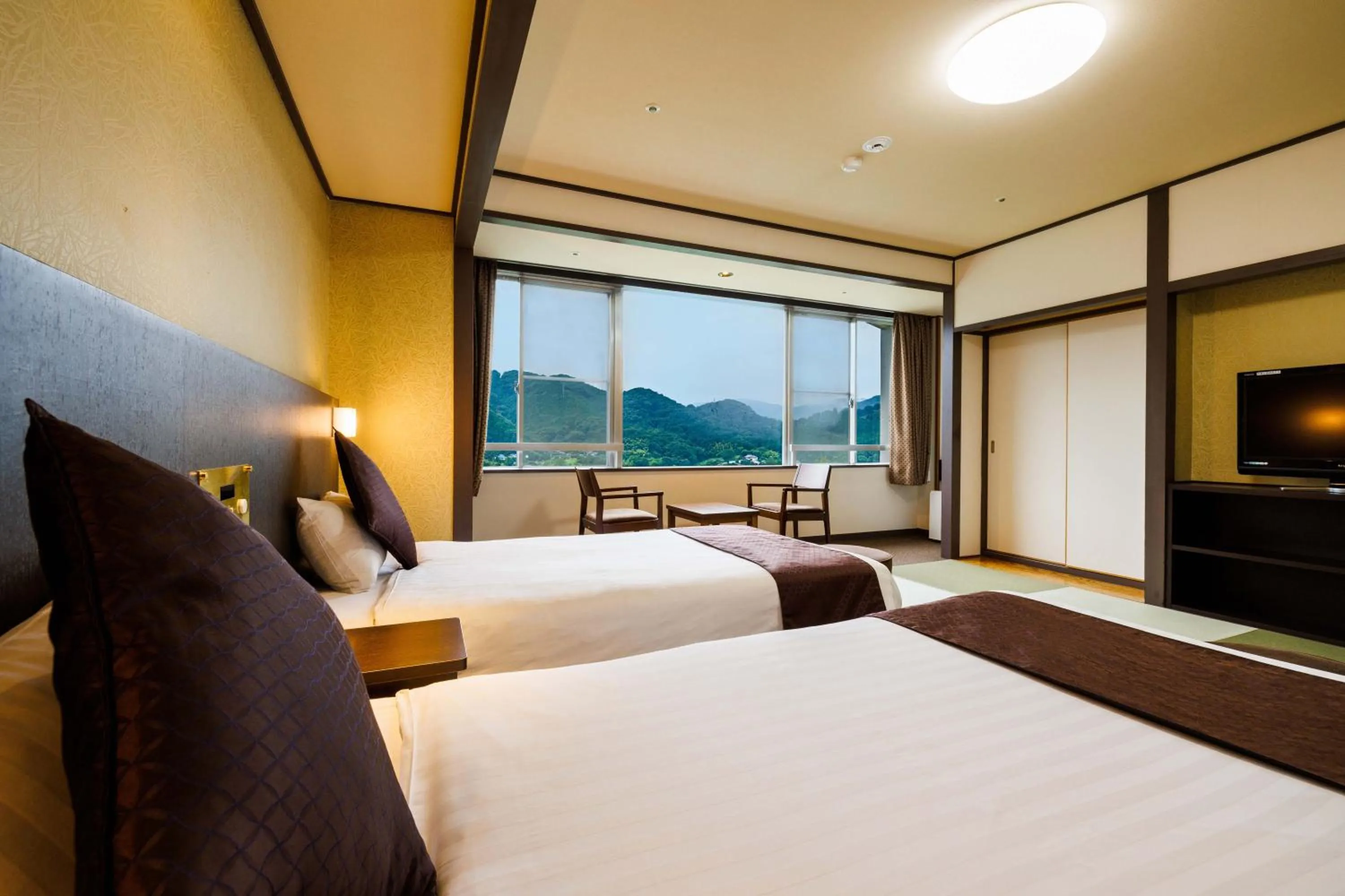 Deluxe Twin Room - single occupancy in KAMENOI HOTEL Nagatoro Yorii