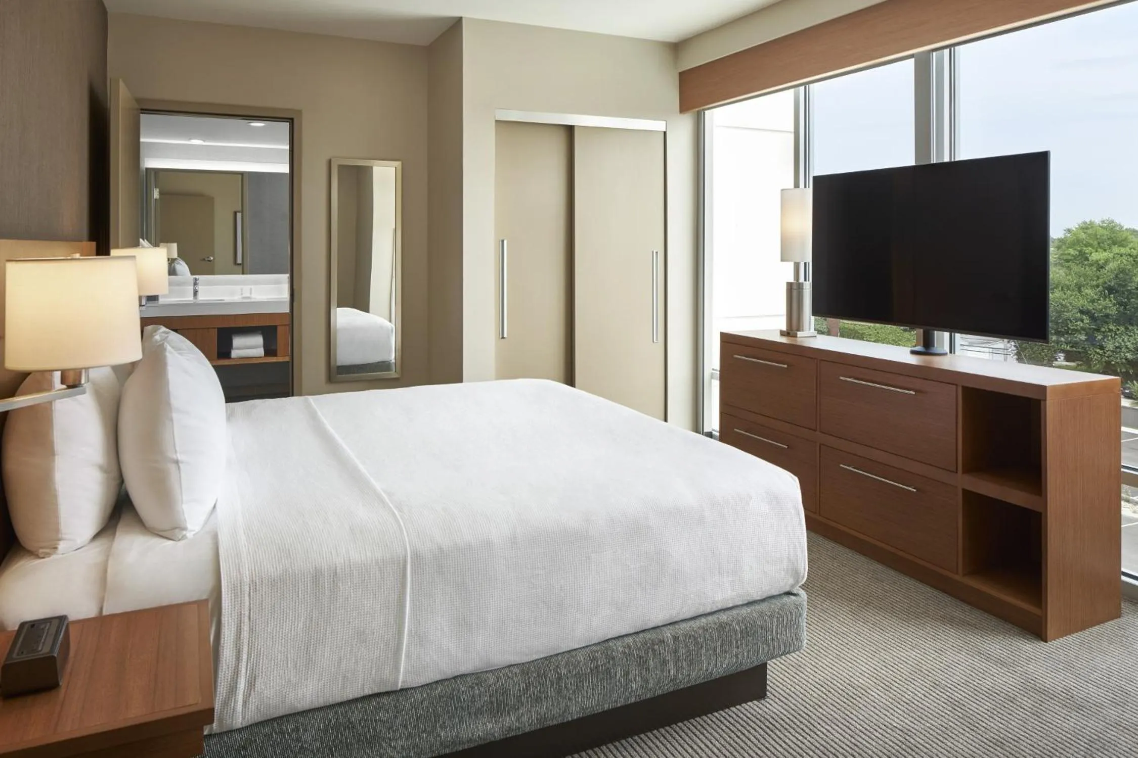 King Suite with Sofa Bed and Roll-In Shower - Disability Access in Hyatt Place Evansville