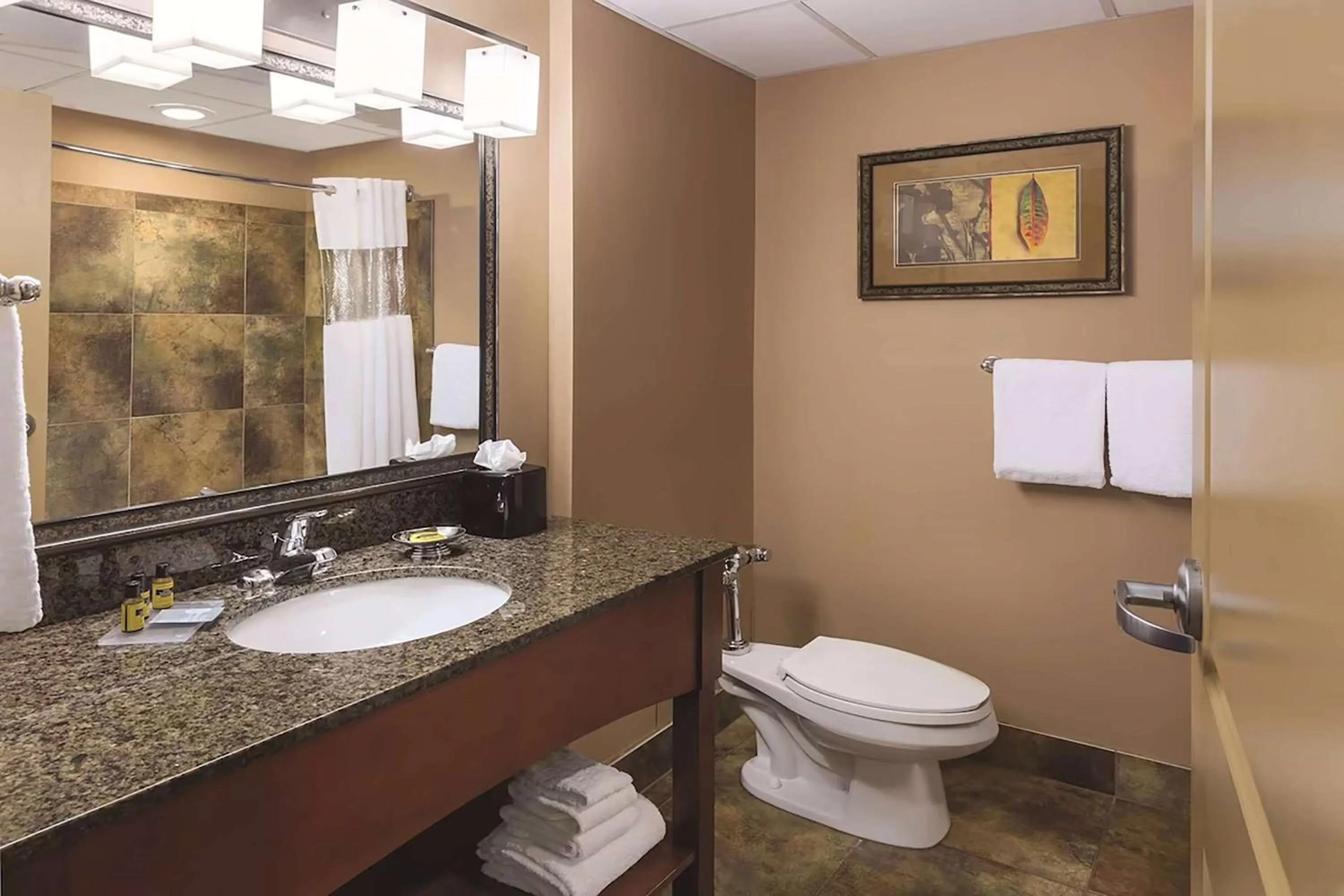 Deluxe King Suite with Pool View - Non-Smoking in Wyndham Bloomington - Mall of America