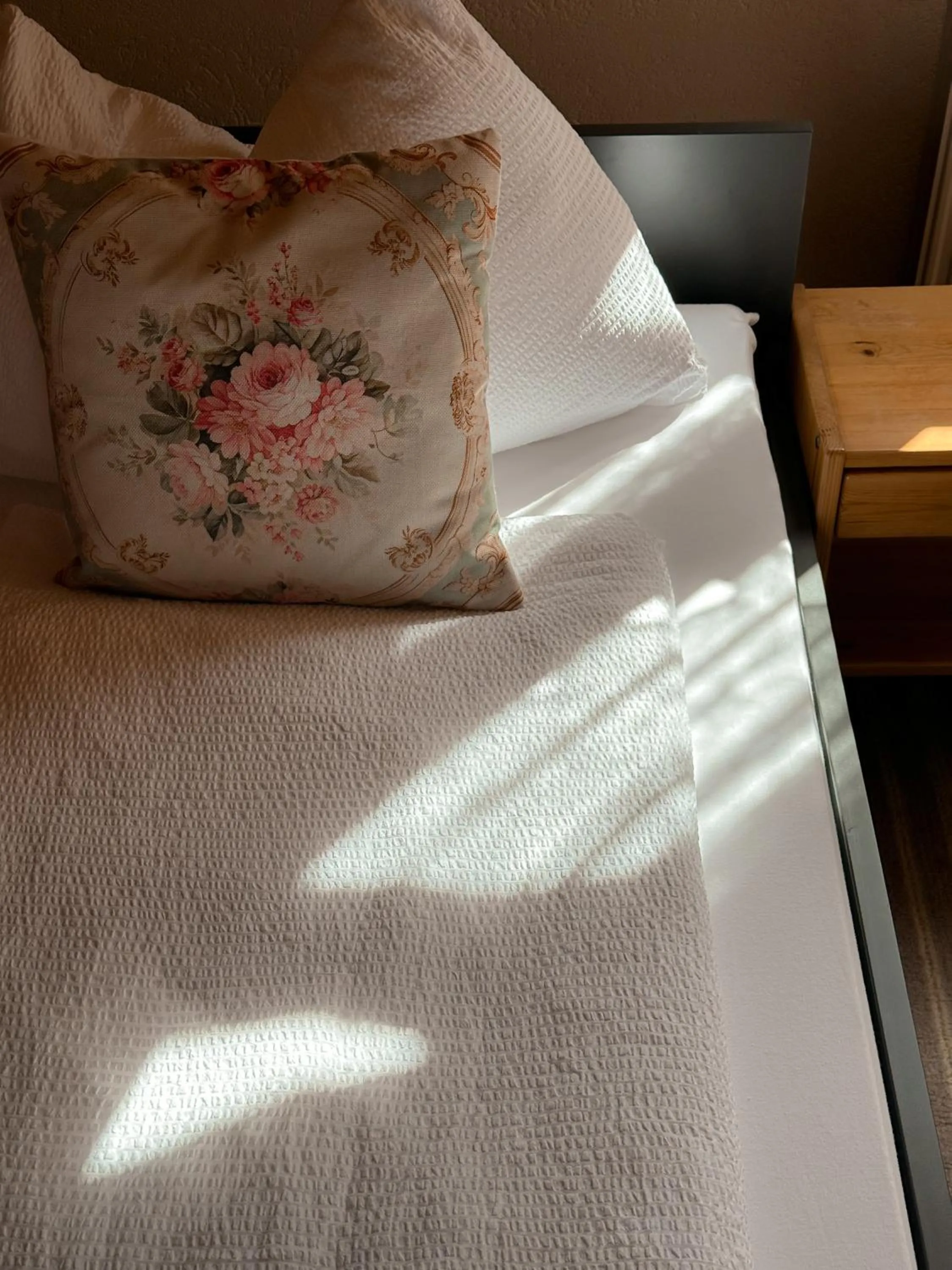 Double Room - single occupancy in Hotel Harder Minerva