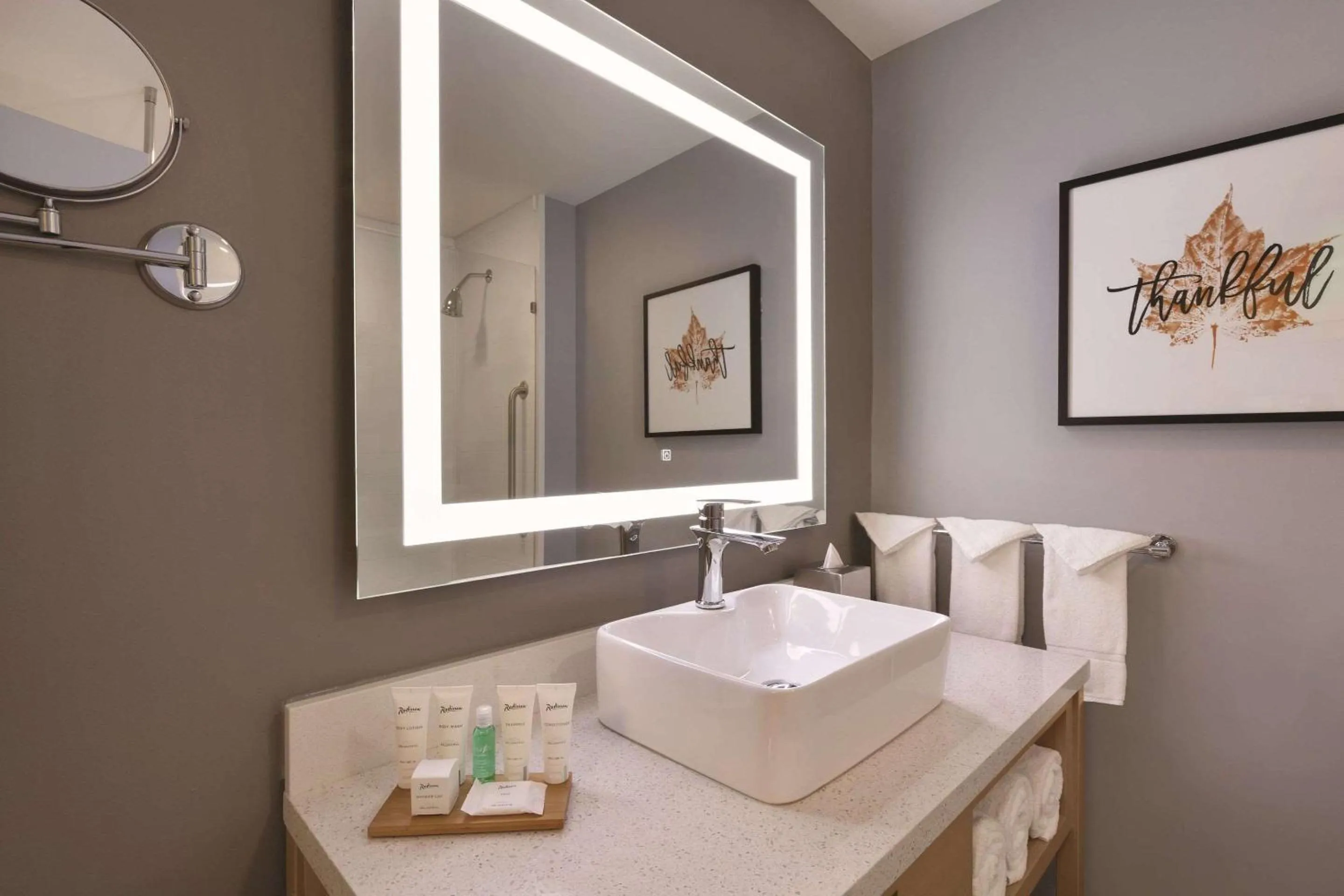 Studio King Suite with Sofa Bed and Roll-In Shower - Non-Smoking in Radisson Hotel Atlanta Airport