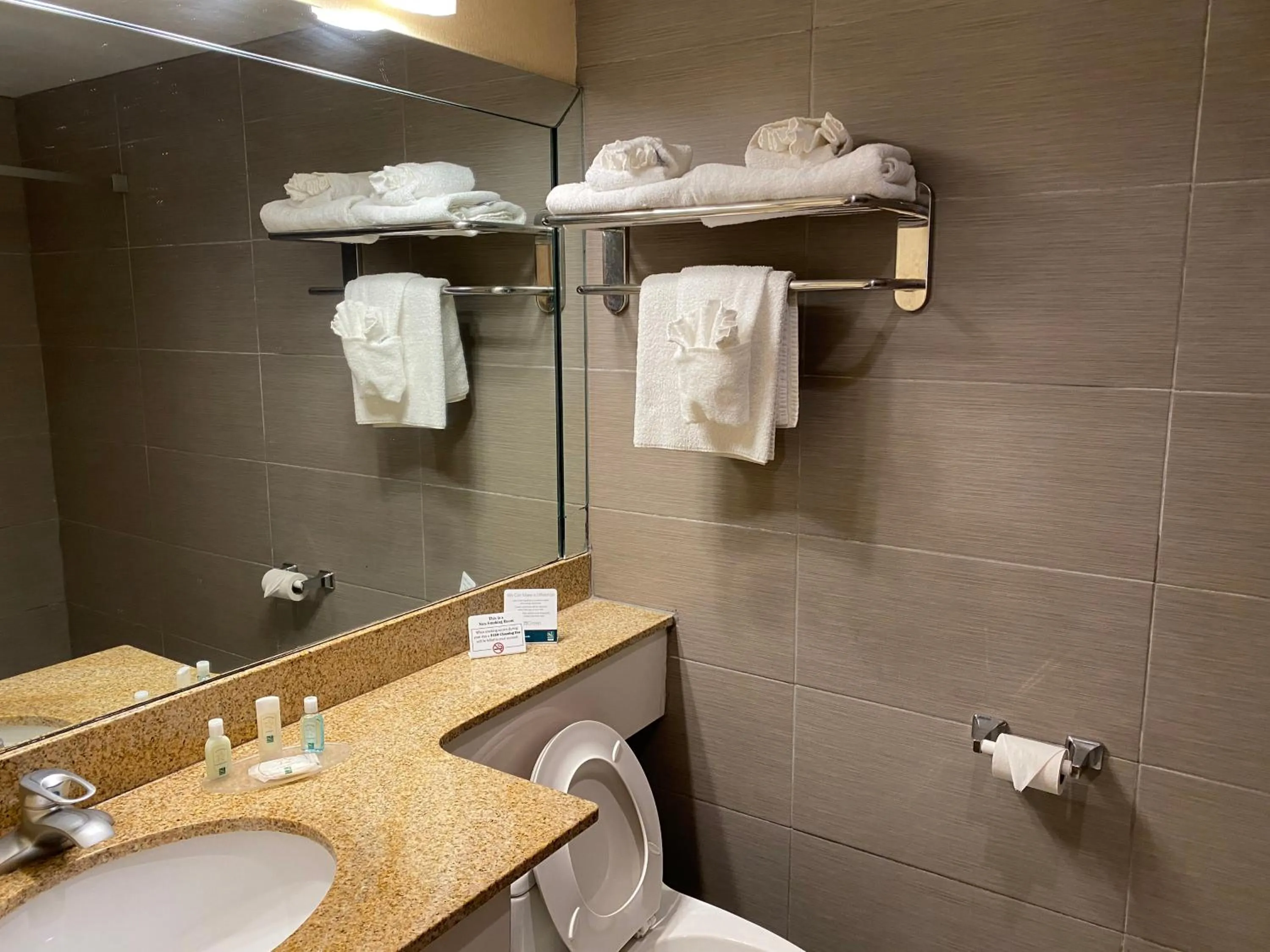 King Room Ground Floor - Non-Smoking in Quality Inn Buffalo Airport