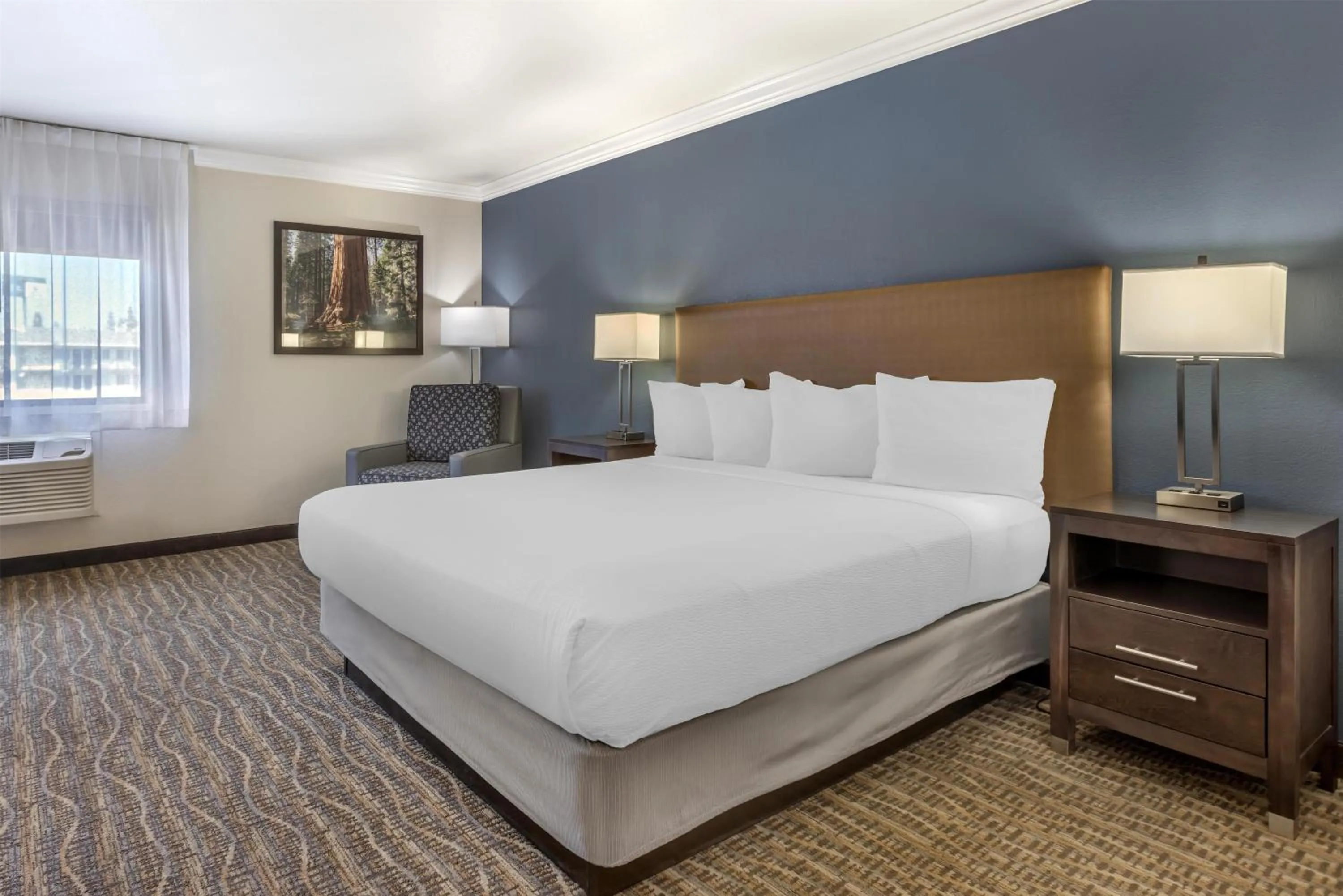 King Room - Non-Smoking in Best Western Town & Country Lodge