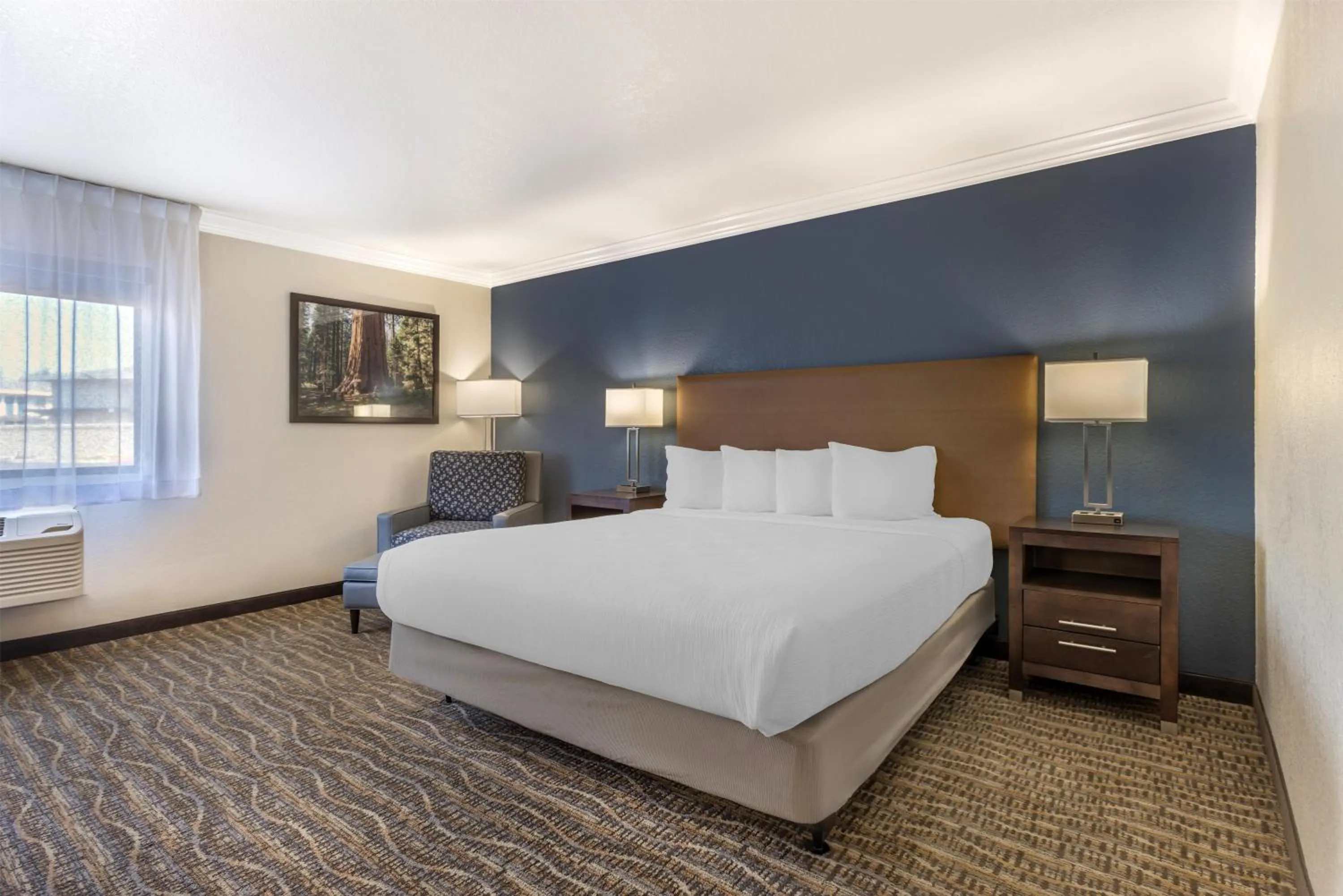 King Room with Roll-In Shower - Mobility Access in Best Western Town & Country Lodge