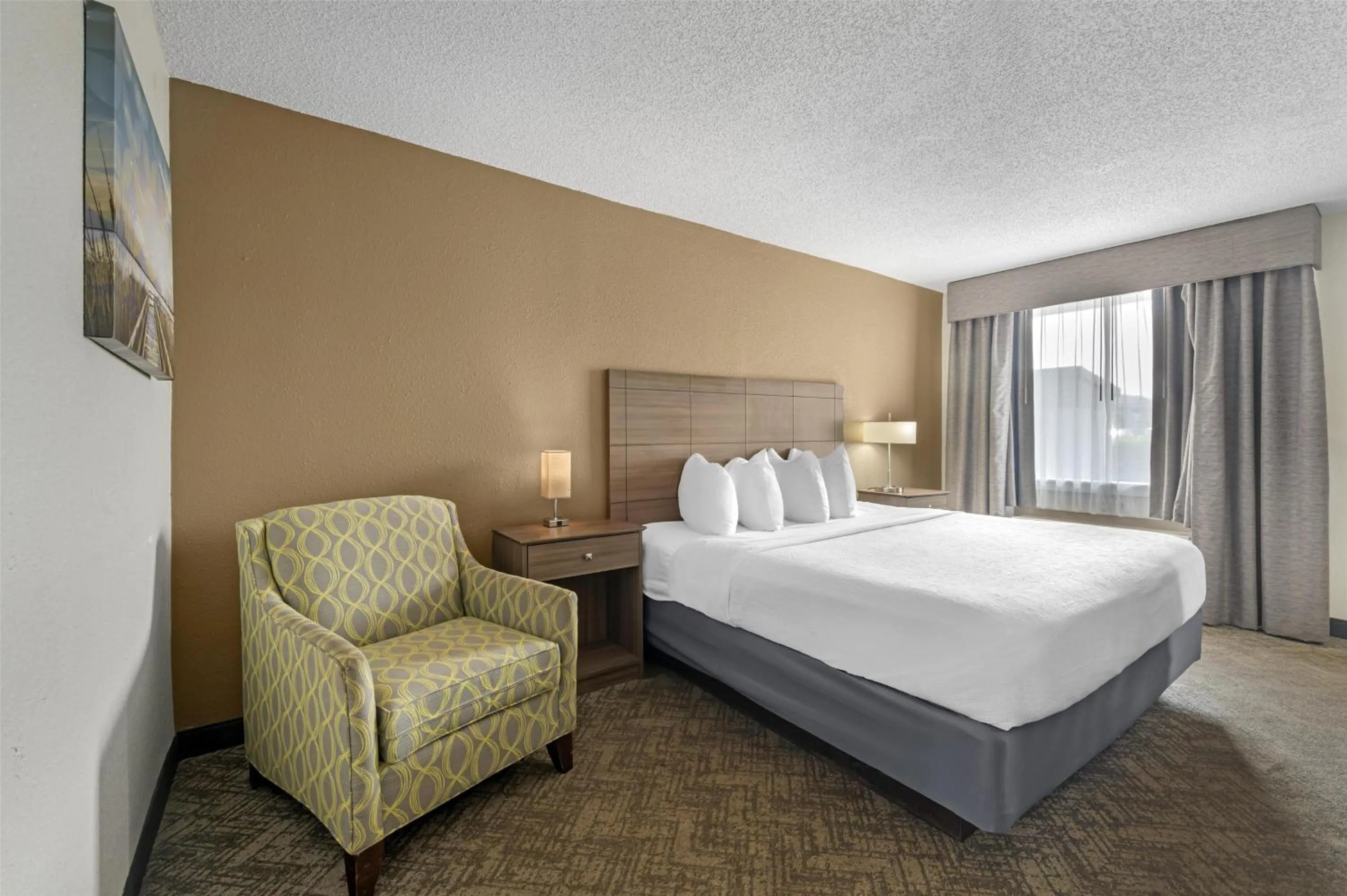 King Room - Disability Access in Best Western Center Inn