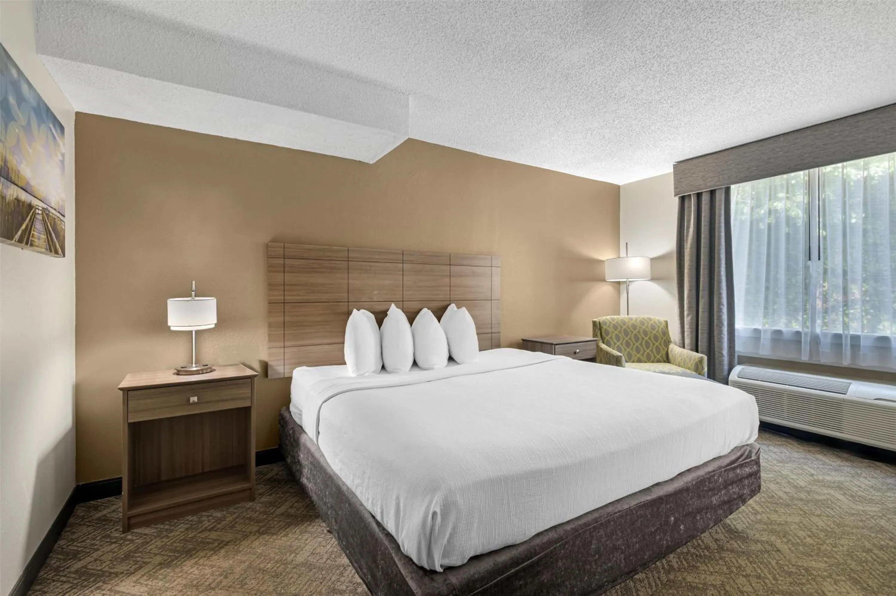 King Room - Non-Smoking in Best Western Center Inn