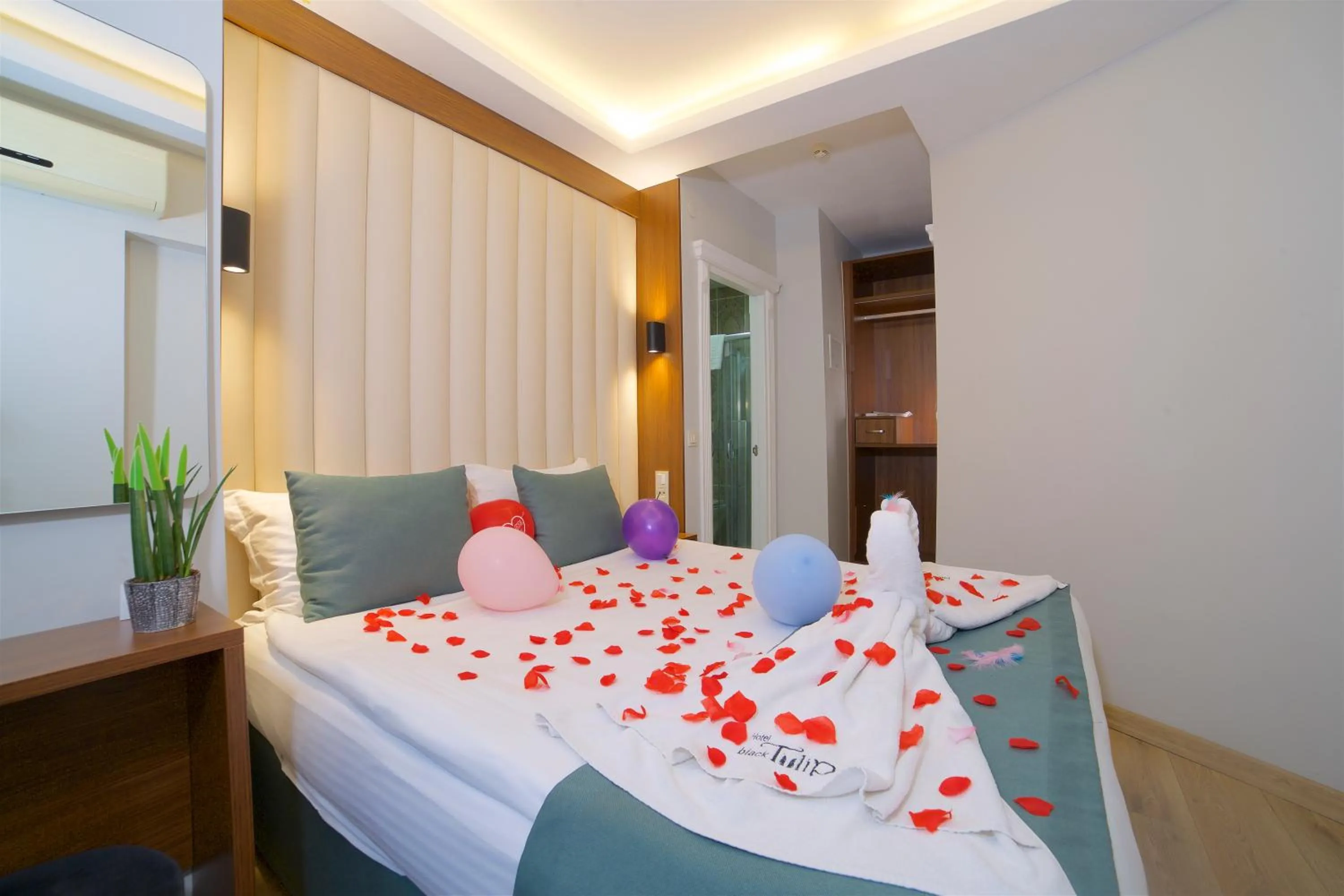 Economy Room - Small Room  in Hotel Black Tulip