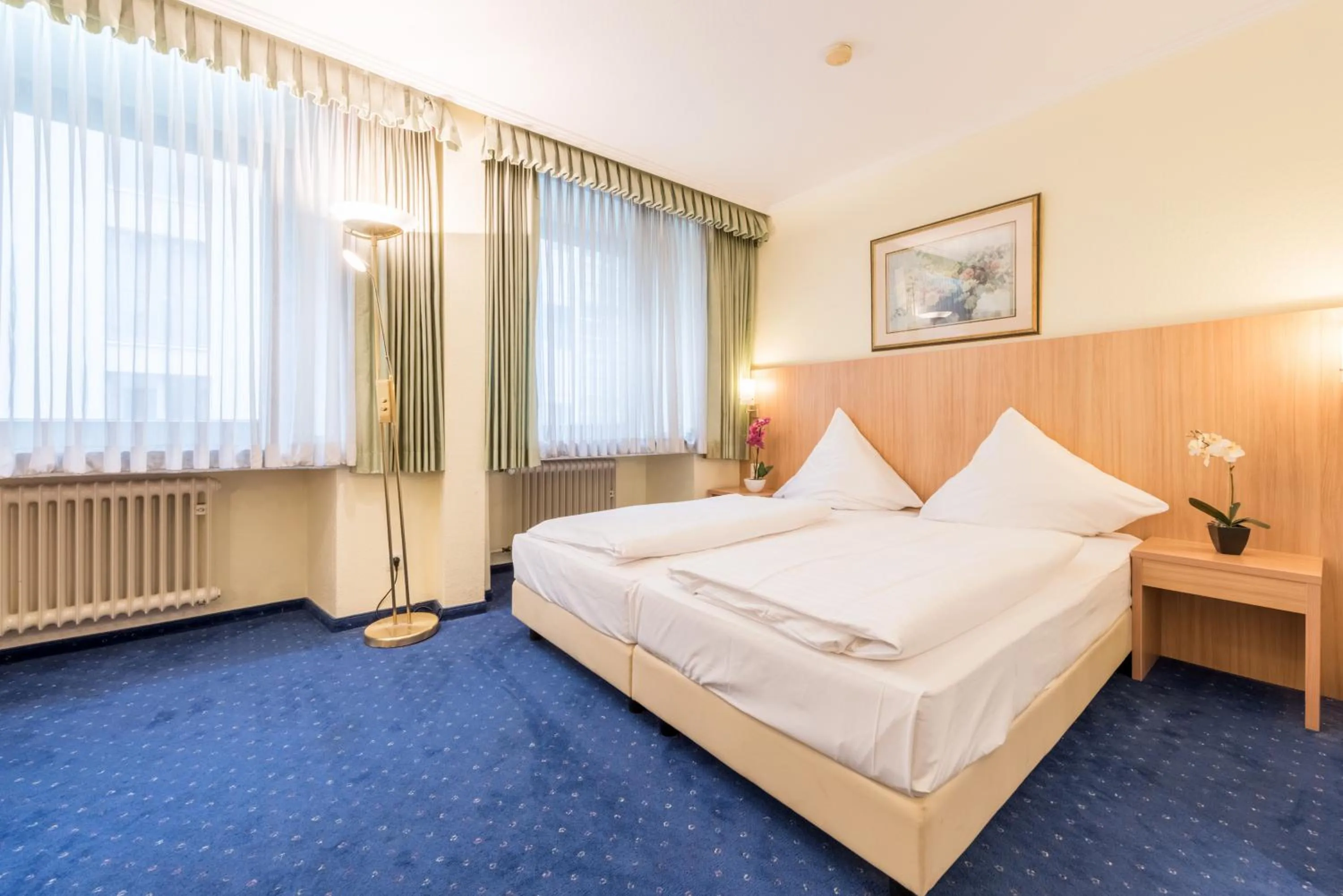 Double Room in Hotel Windsor
