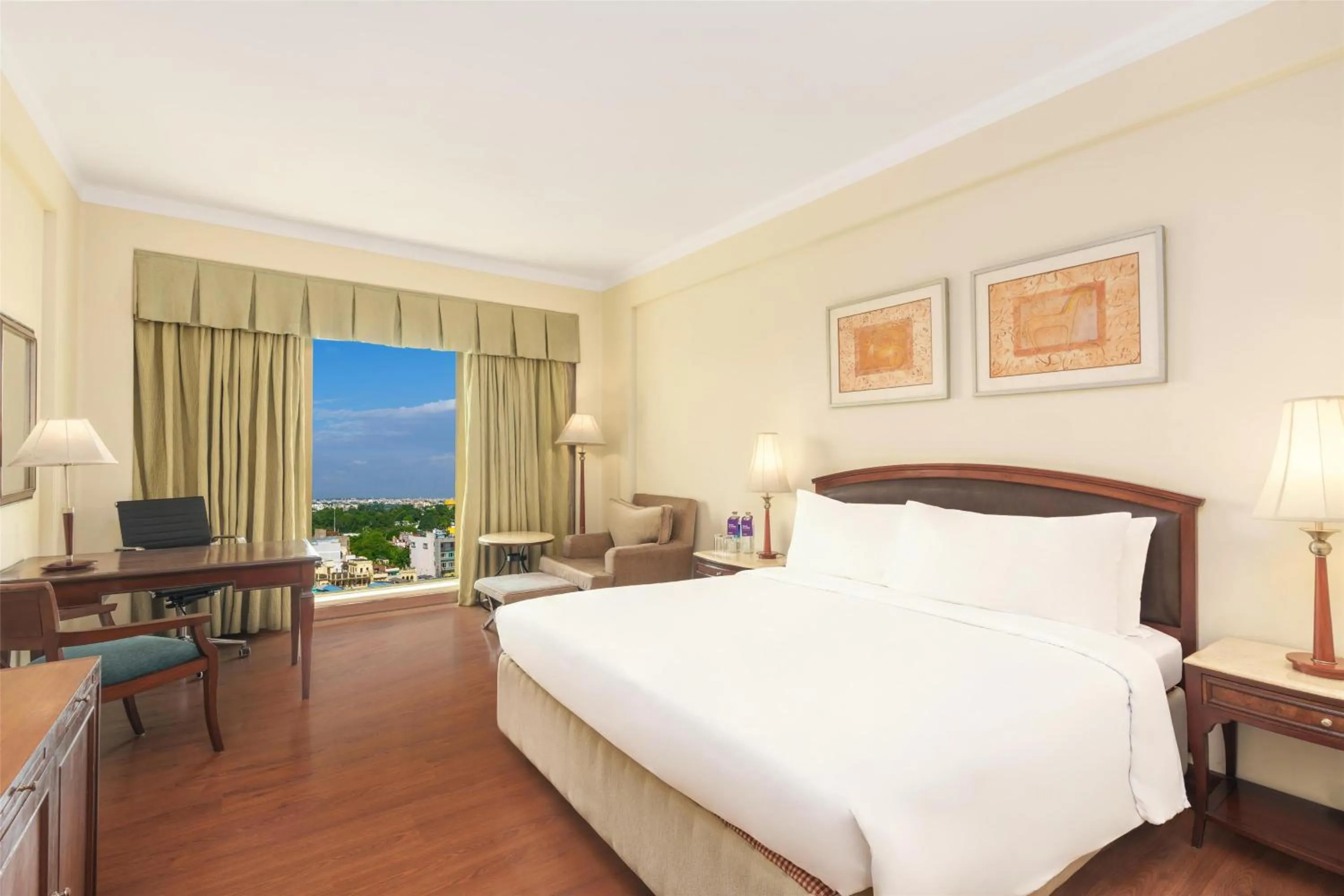 Business Double Room (3 hrs early check-in and late check-out, subject to availability) in Radisson Hotel Varanasi