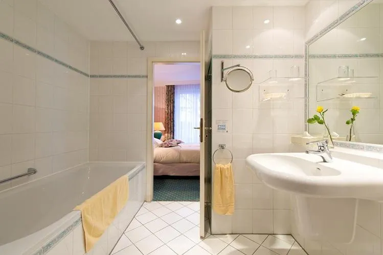 Single Room - single occupancy in Hotel am Schlosspark