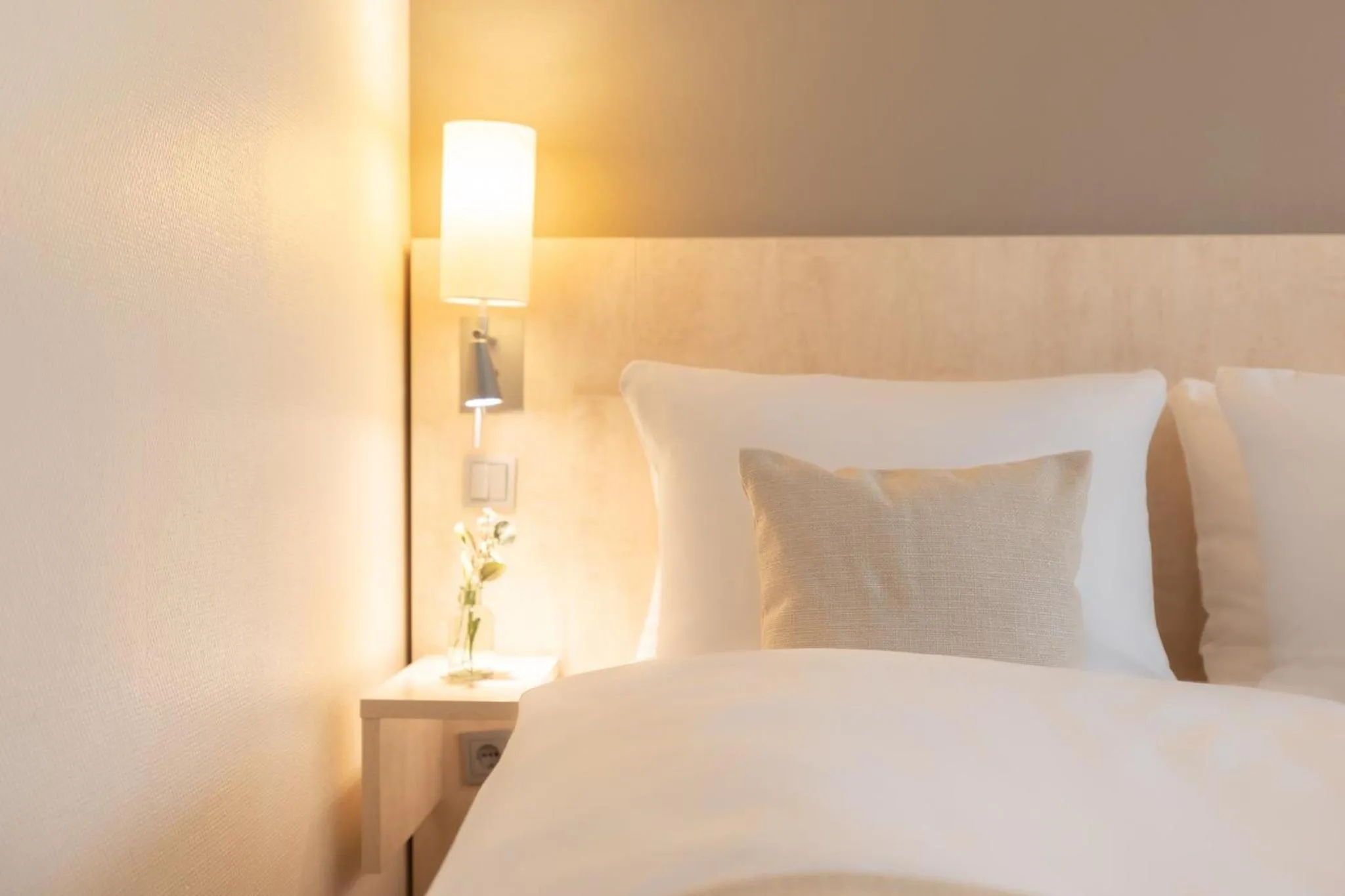 Standard Queen Room - Accessible in Garner Hotel Mainz by IHG