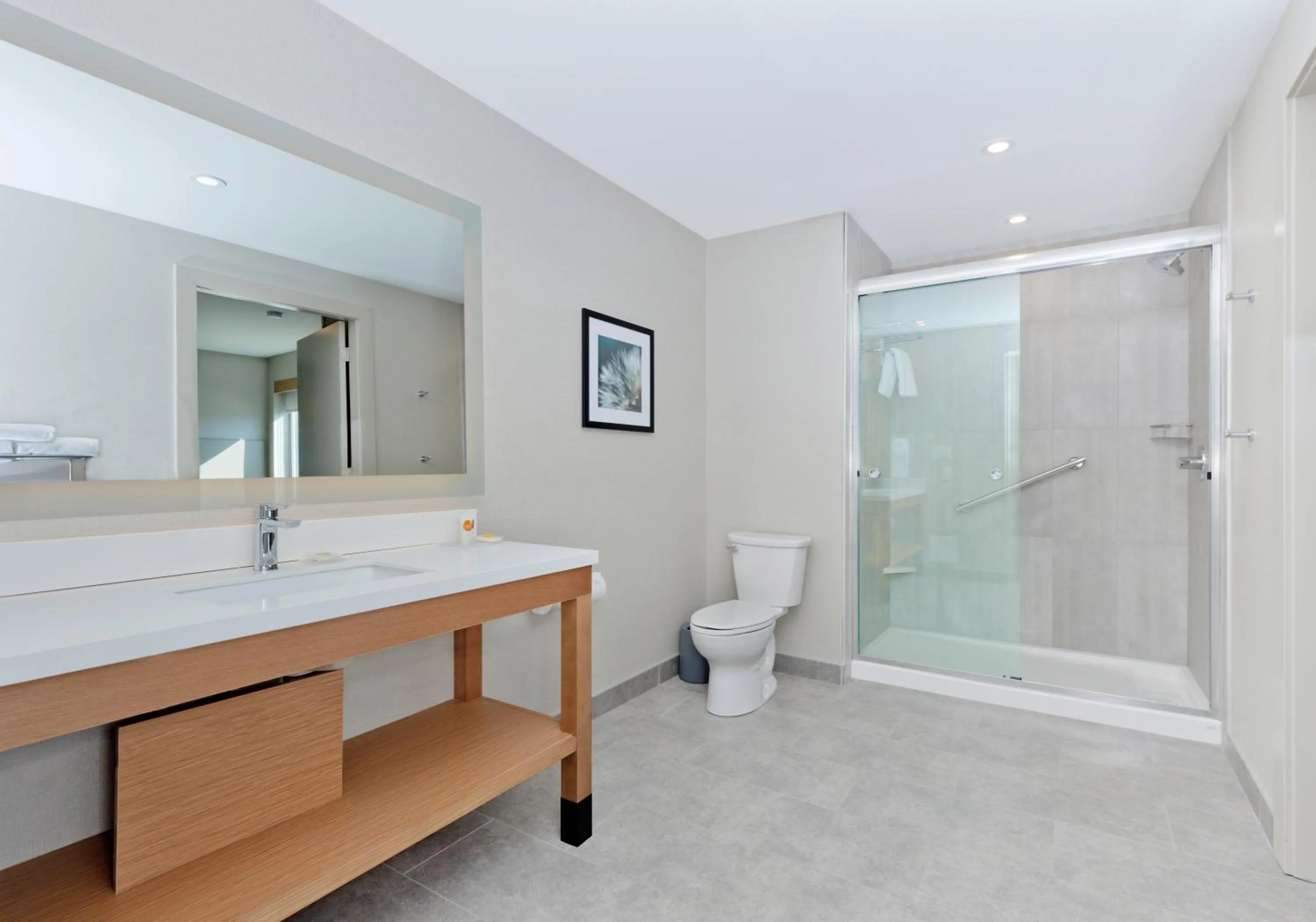 King Suite with Sofa Bed and Roll-In Shower - Disability Access in Hyatt Place Kelowna