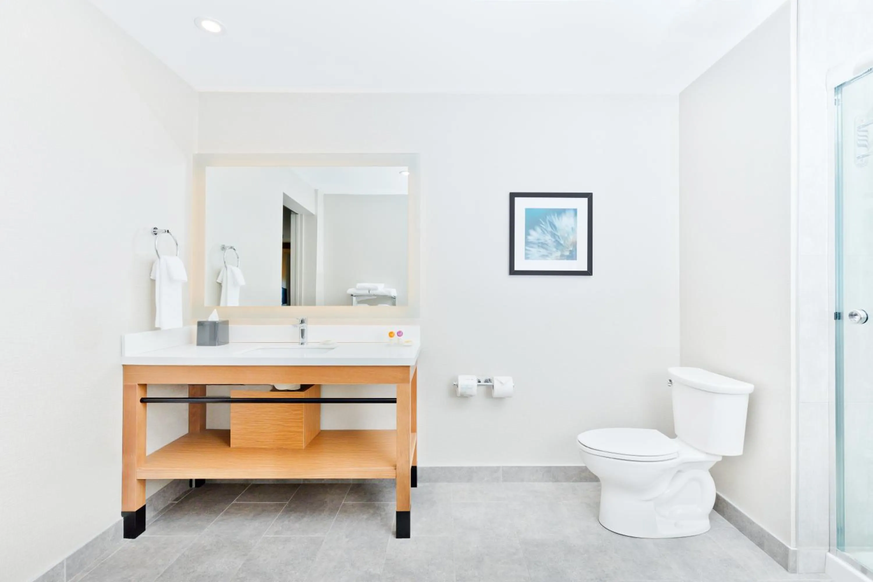 King Suite with Sofa Bed and Roll-In Shower - Disability Access in Hyatt Place Kelowna