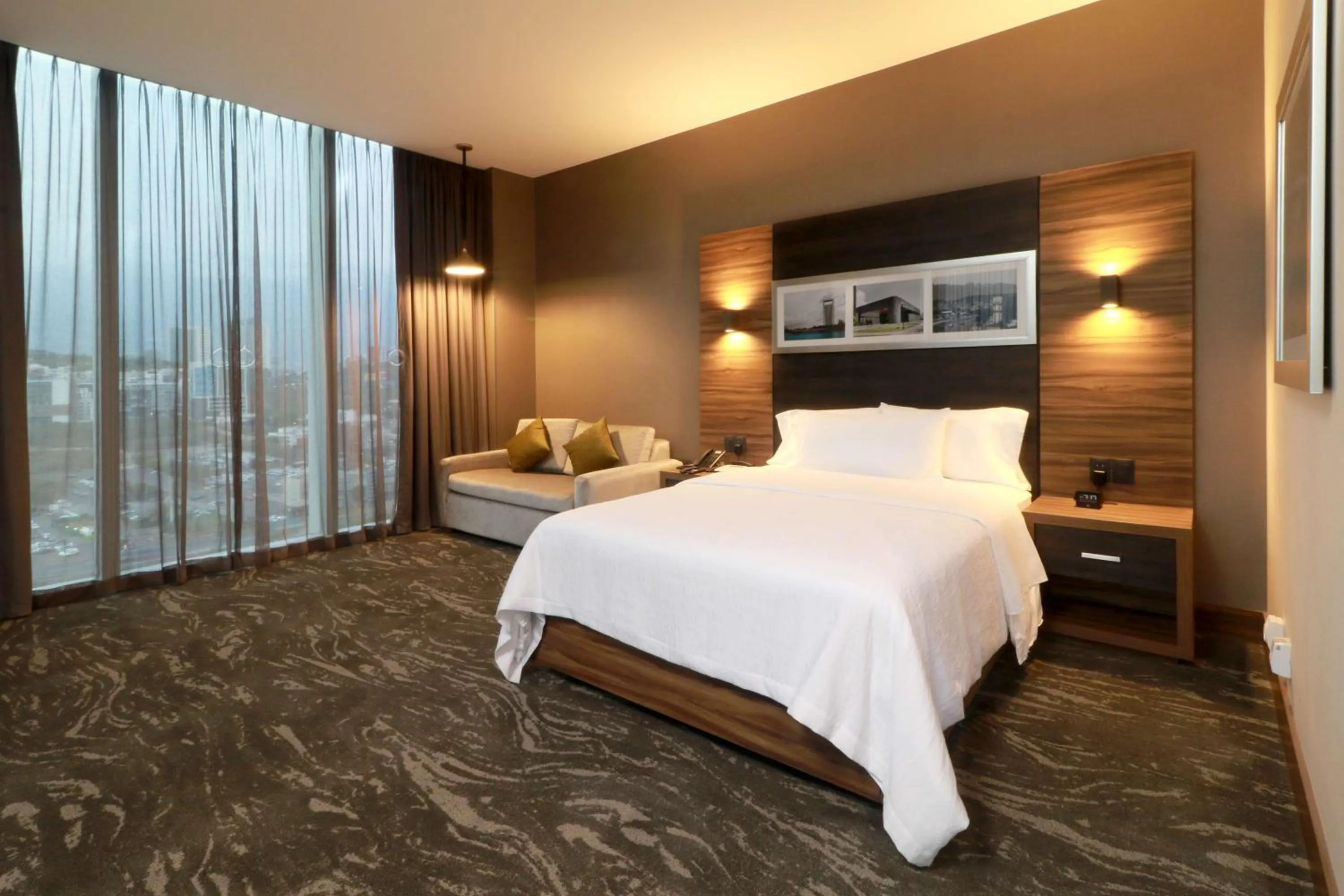 Deluxe King Room - Hearing Access in Hilton Garden Inn Monterrey Obispado
