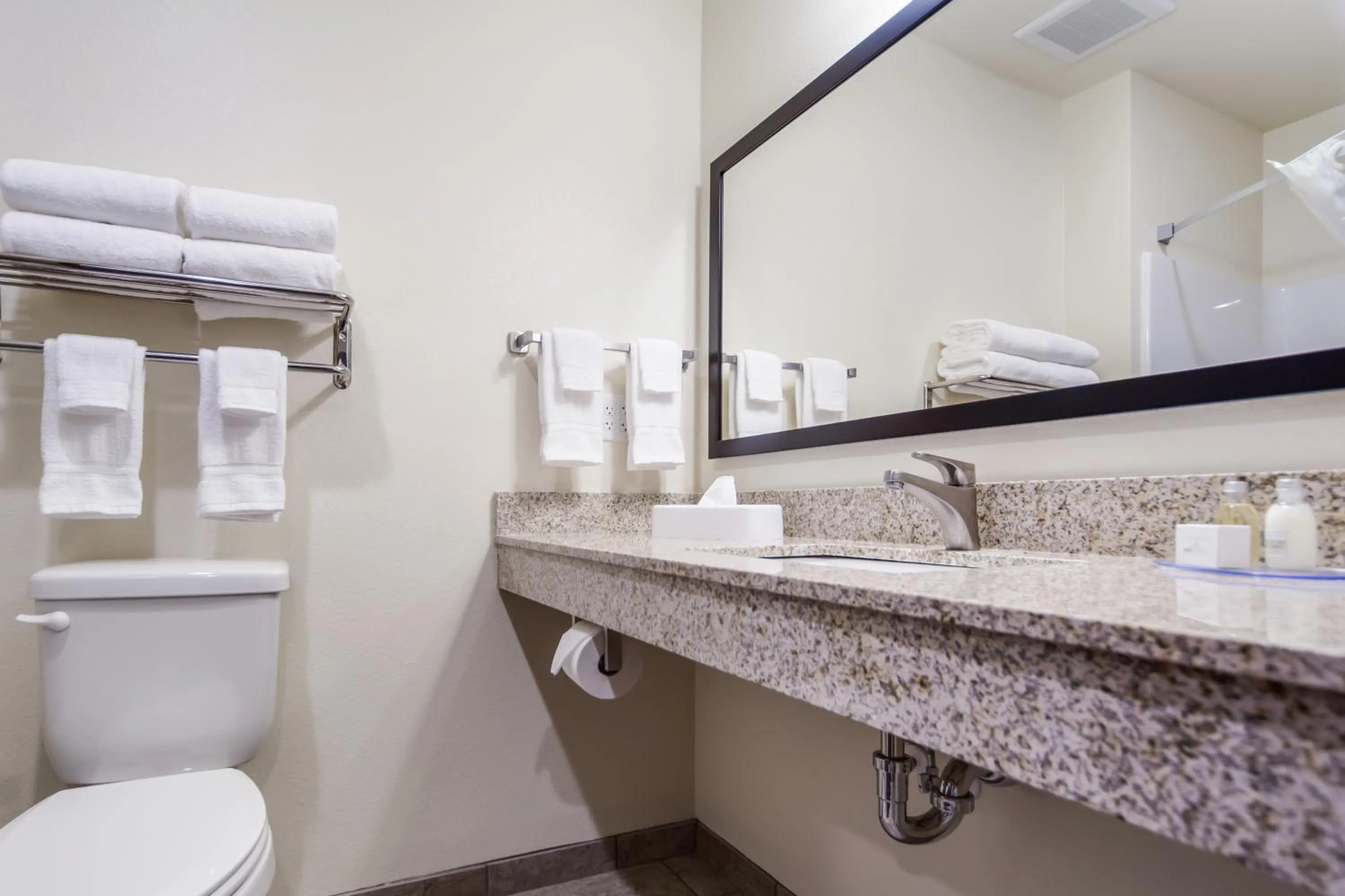 Queen Room in Cobblestone Inn & Suites - Holdrege
