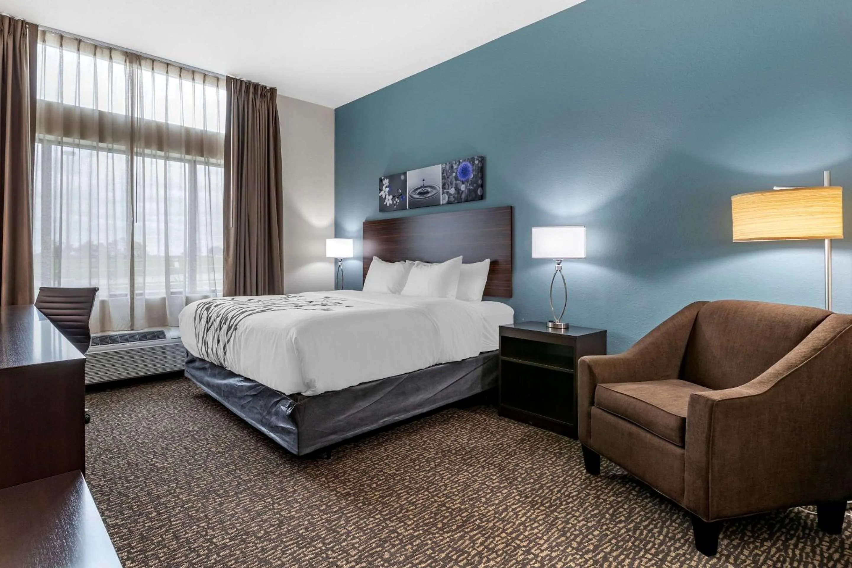 King Room - Non-Smoking in Sleep Inn Waukee-West Des Moines