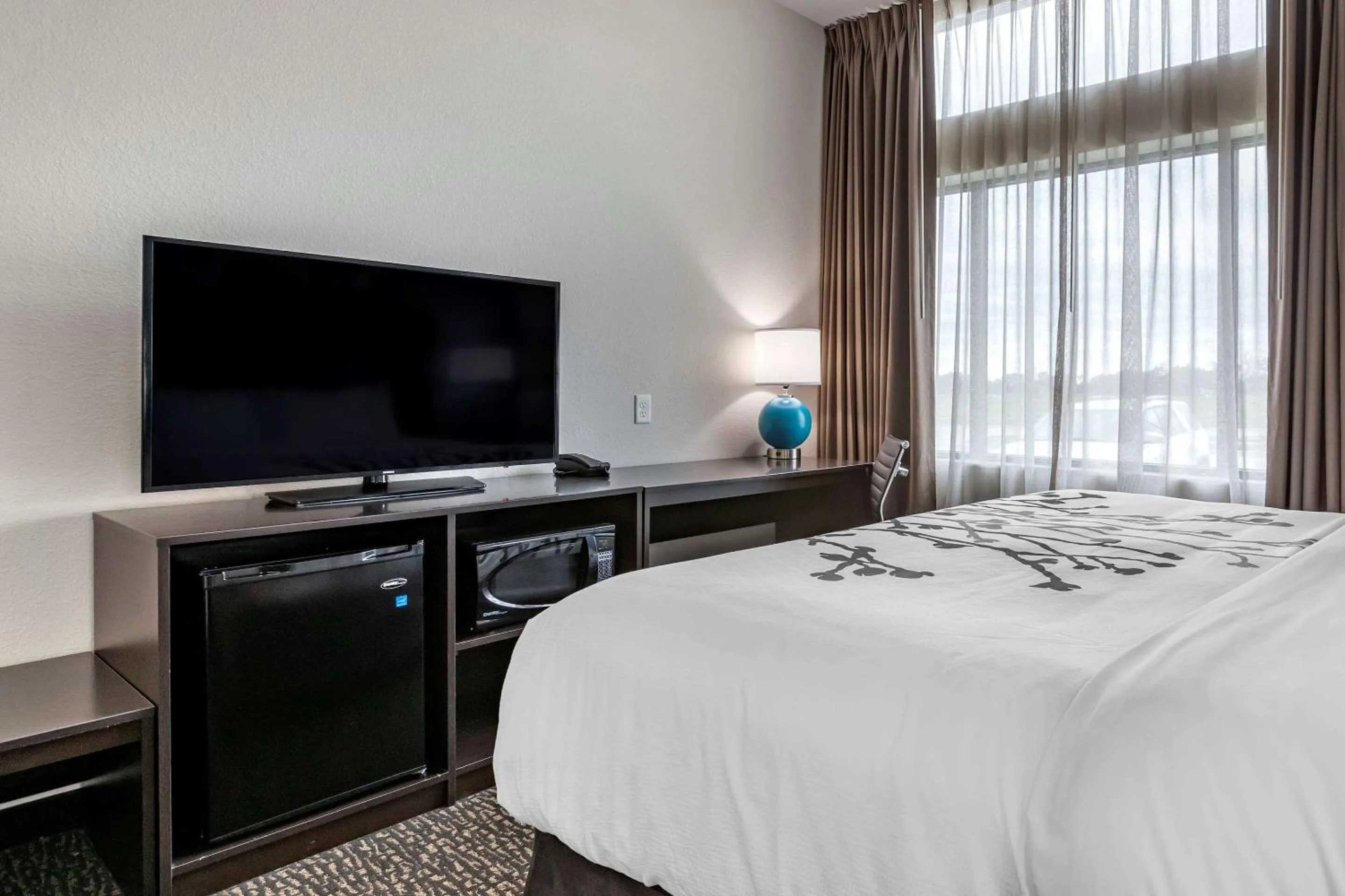 King Room with Tub - Mobility Accessible/Non-Smoking in Sleep Inn Waukee-West Des Moines