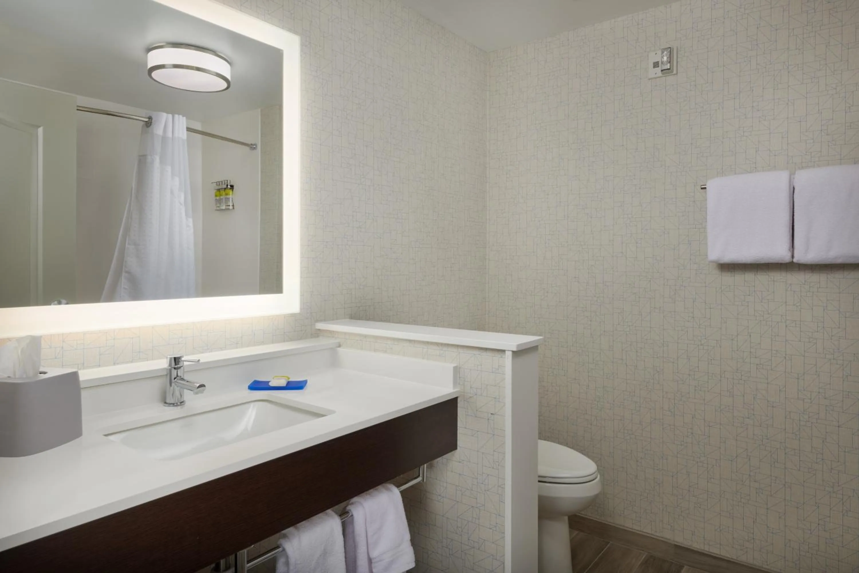 Standard King Room in Holiday Inn Express - Lockport by IHG