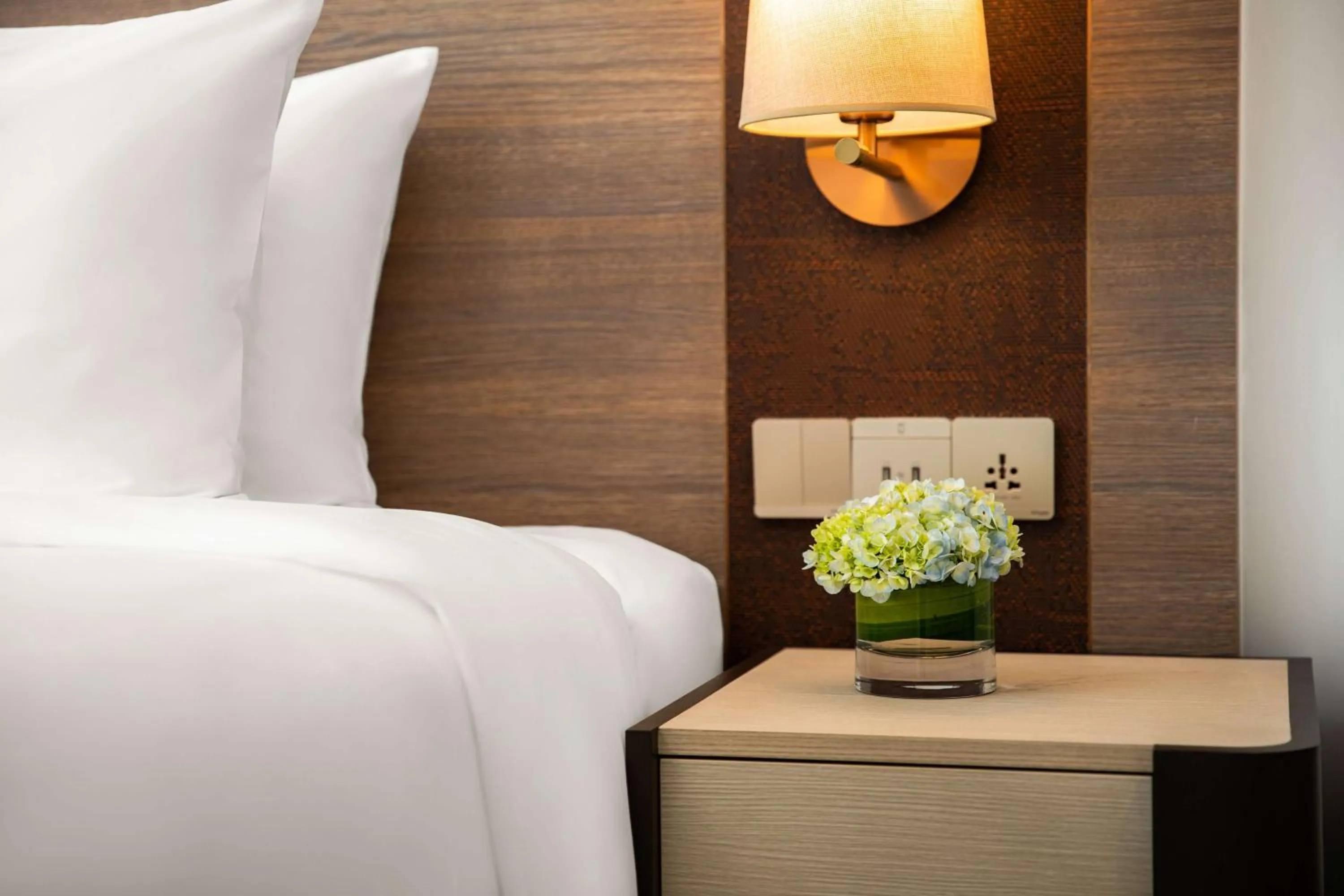 Premium Suite - 1 Bedroom in Radisson Hotel Kathmandu