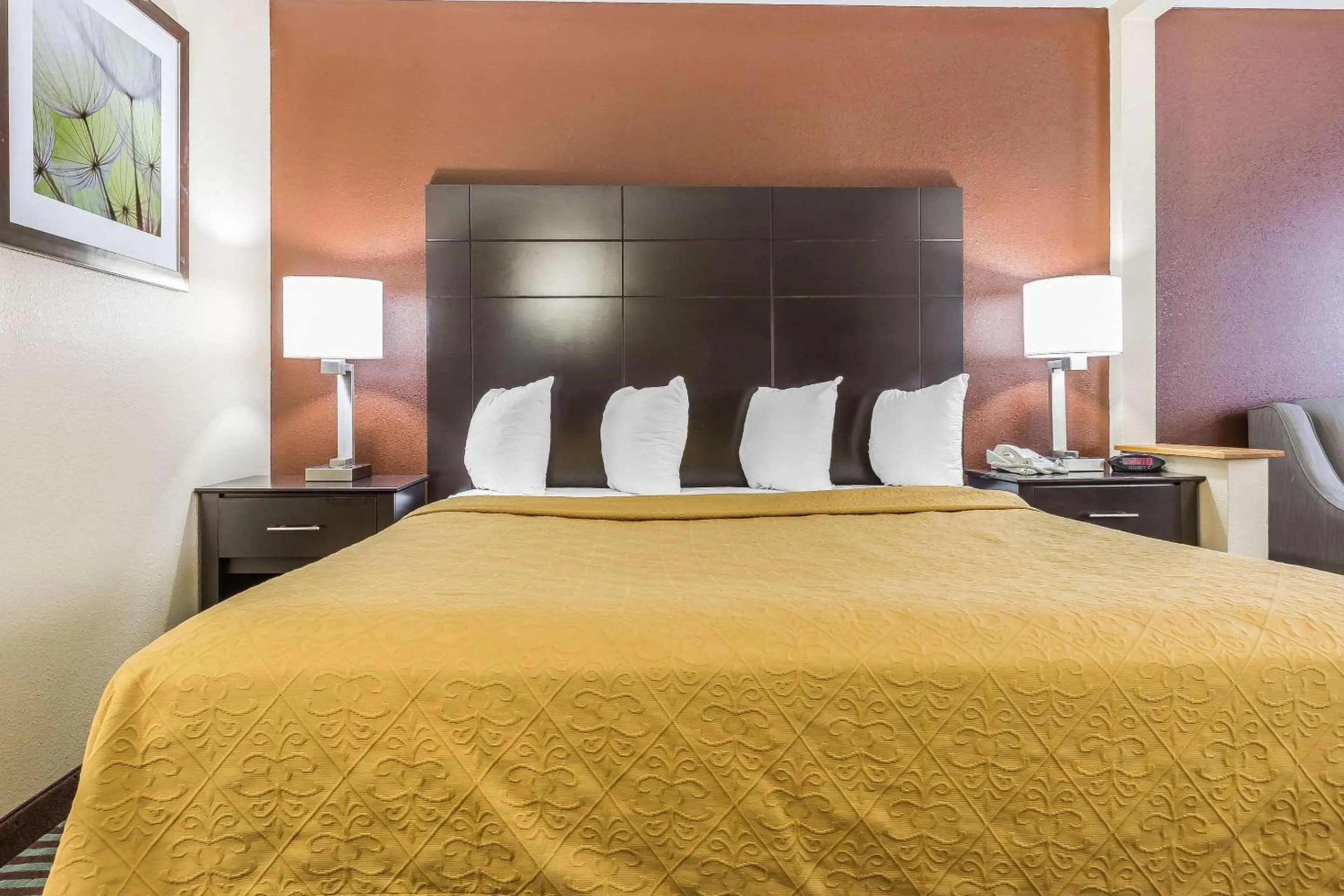 King Room - Non-Smoking in Quality Inn Mount Vernon, IL