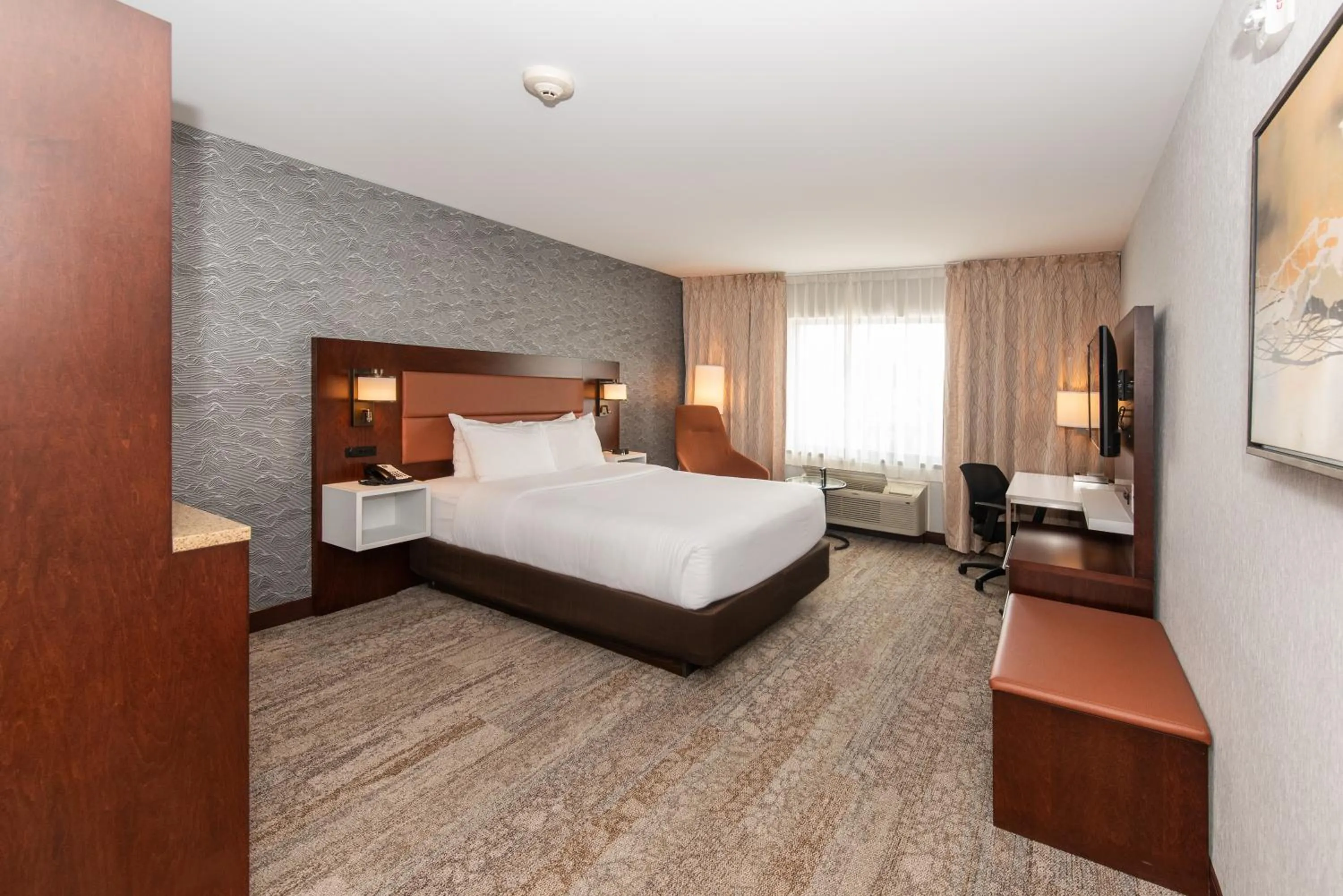 Queen Room - Disability Access/Non-Smoking in Quality Inn & Suites