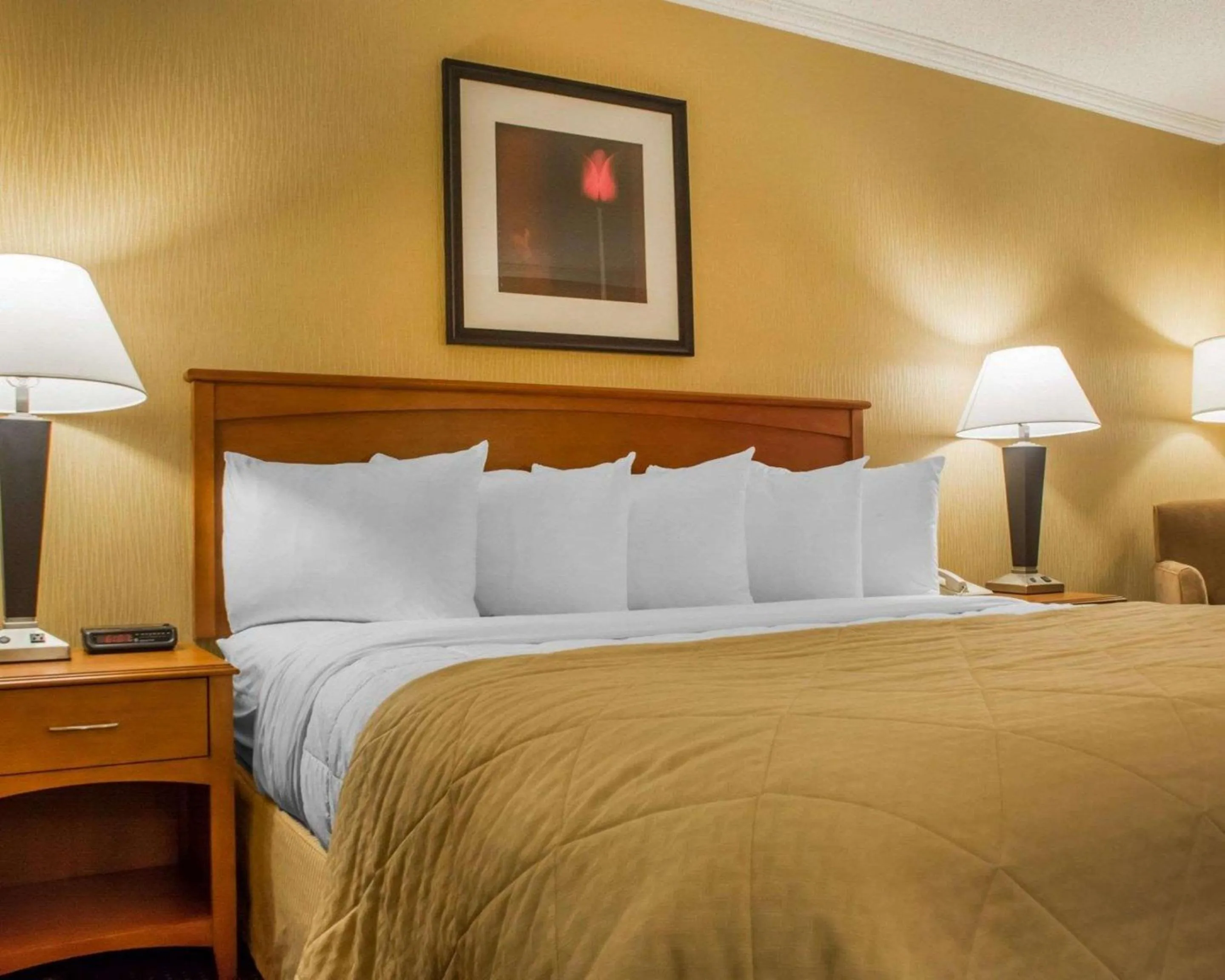 King Room - Accessible/Non-Smoking in Clarion Hotel & Suites Riverfront