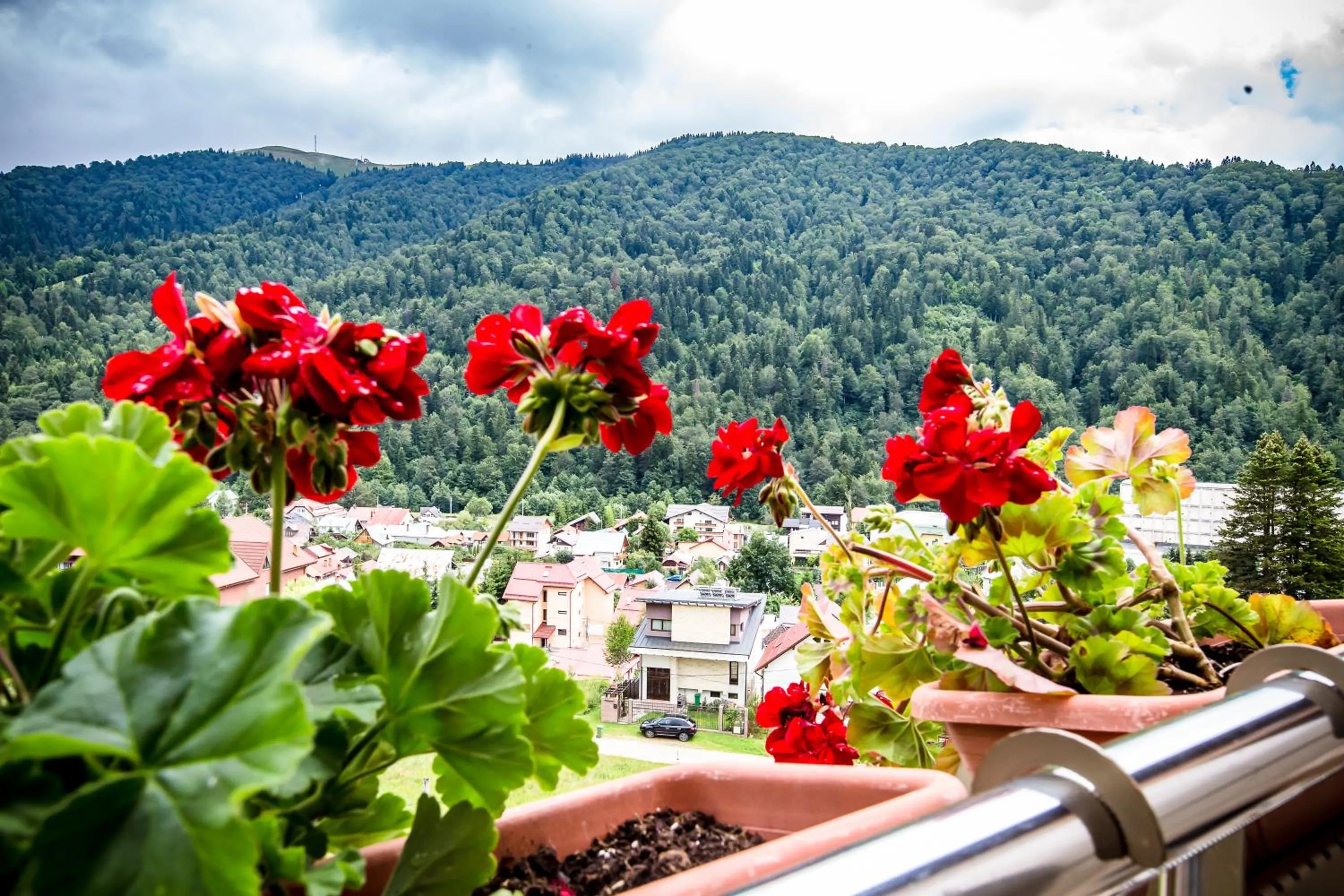 Apartment - Split Level in HOTEL CARPAT INN