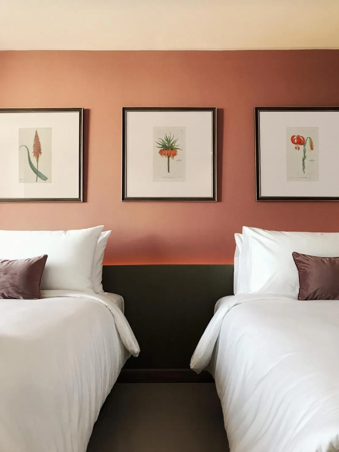 Superior Twin Room in The Raintree Hotel Chiang Mai