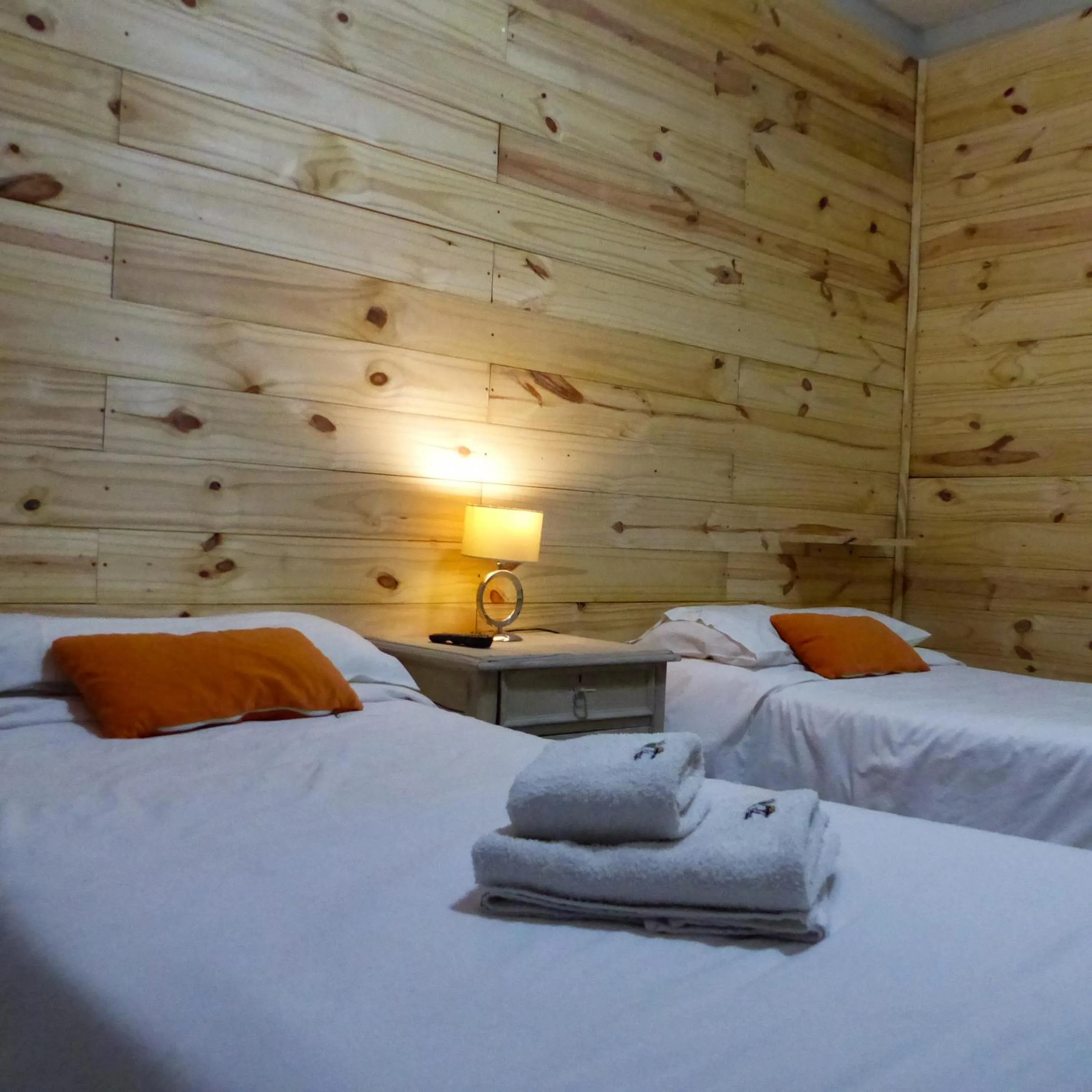 Single Room in Hotel Antiguo Camino