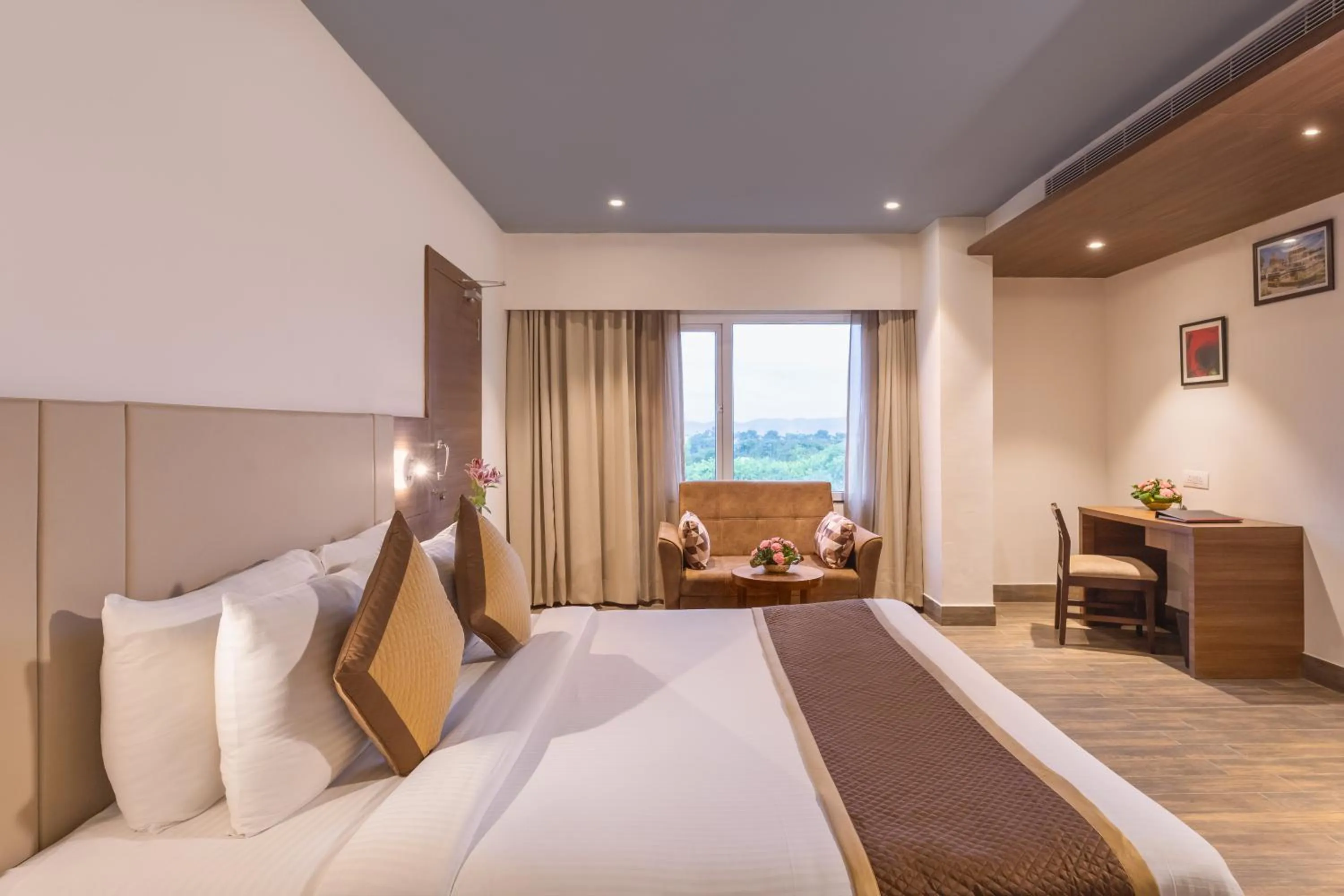 Double Room - single occupancy in Lords Inn Udaipur