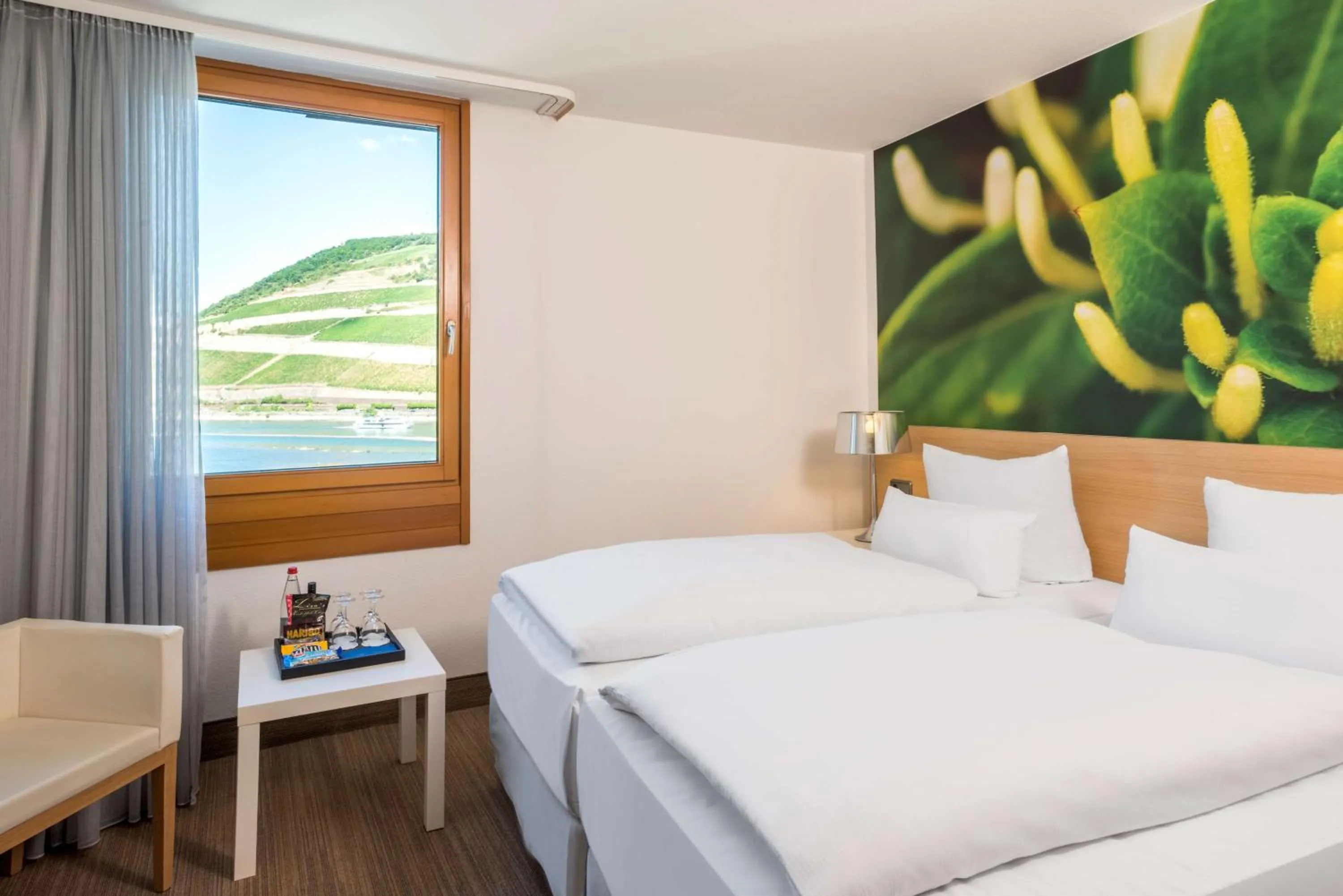 Standard Double Room with Balcony in NH Bingen