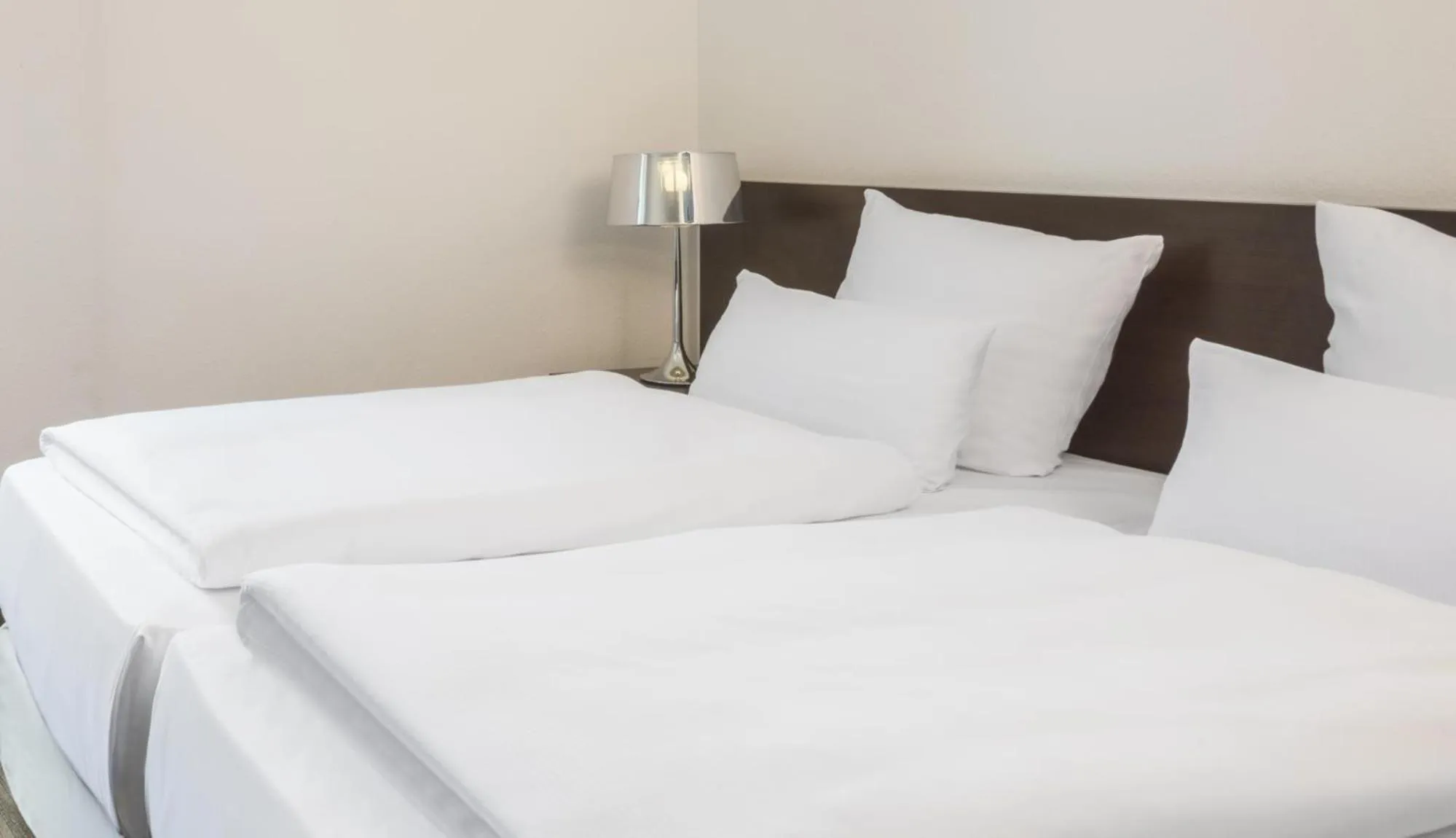 Standard Double or Twin Room in NH Bingen