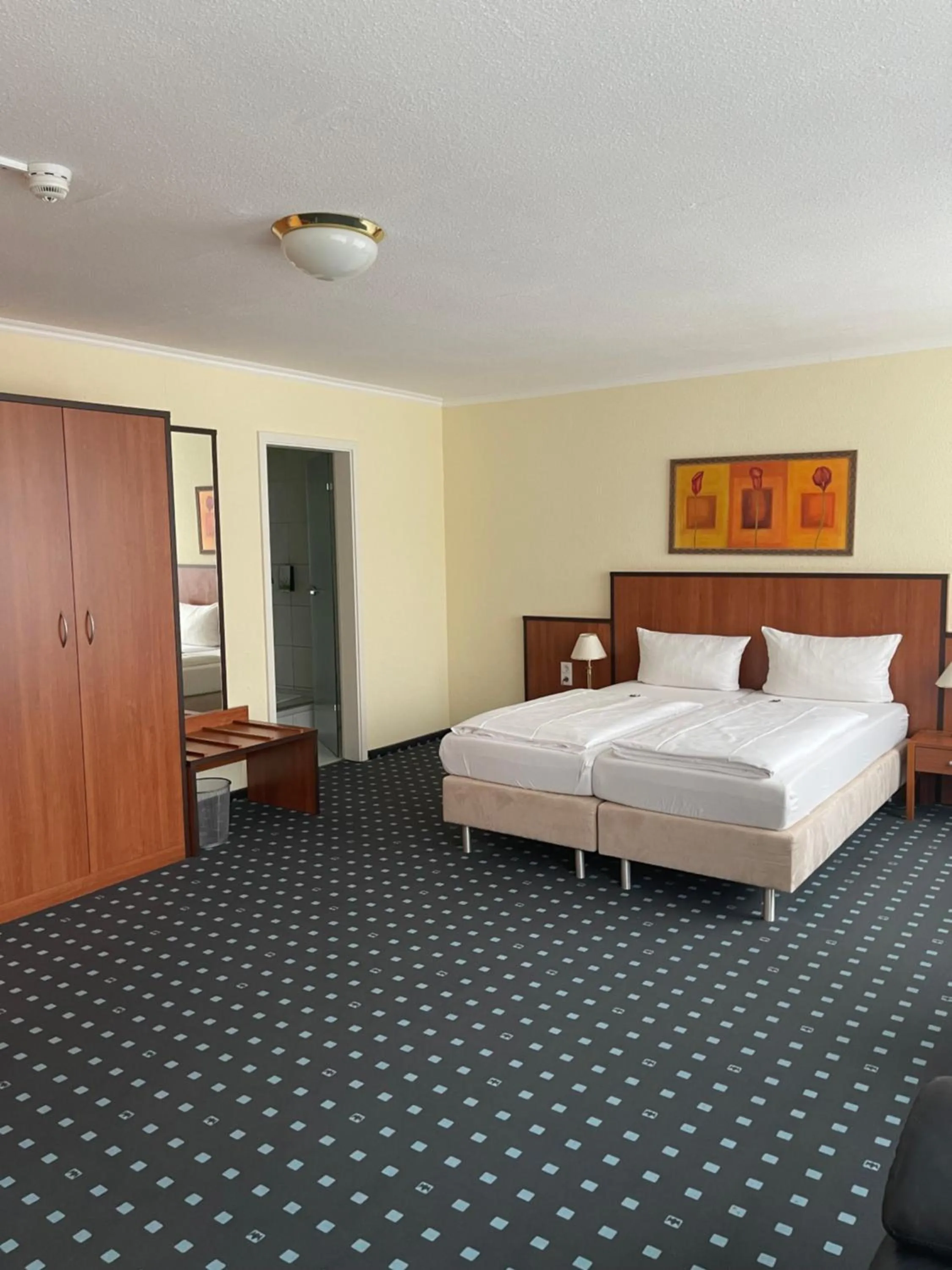 Double Room with Private Bathroom - single occupancy in PANORAMA HOTEL in Neustadt an der Weinstraße