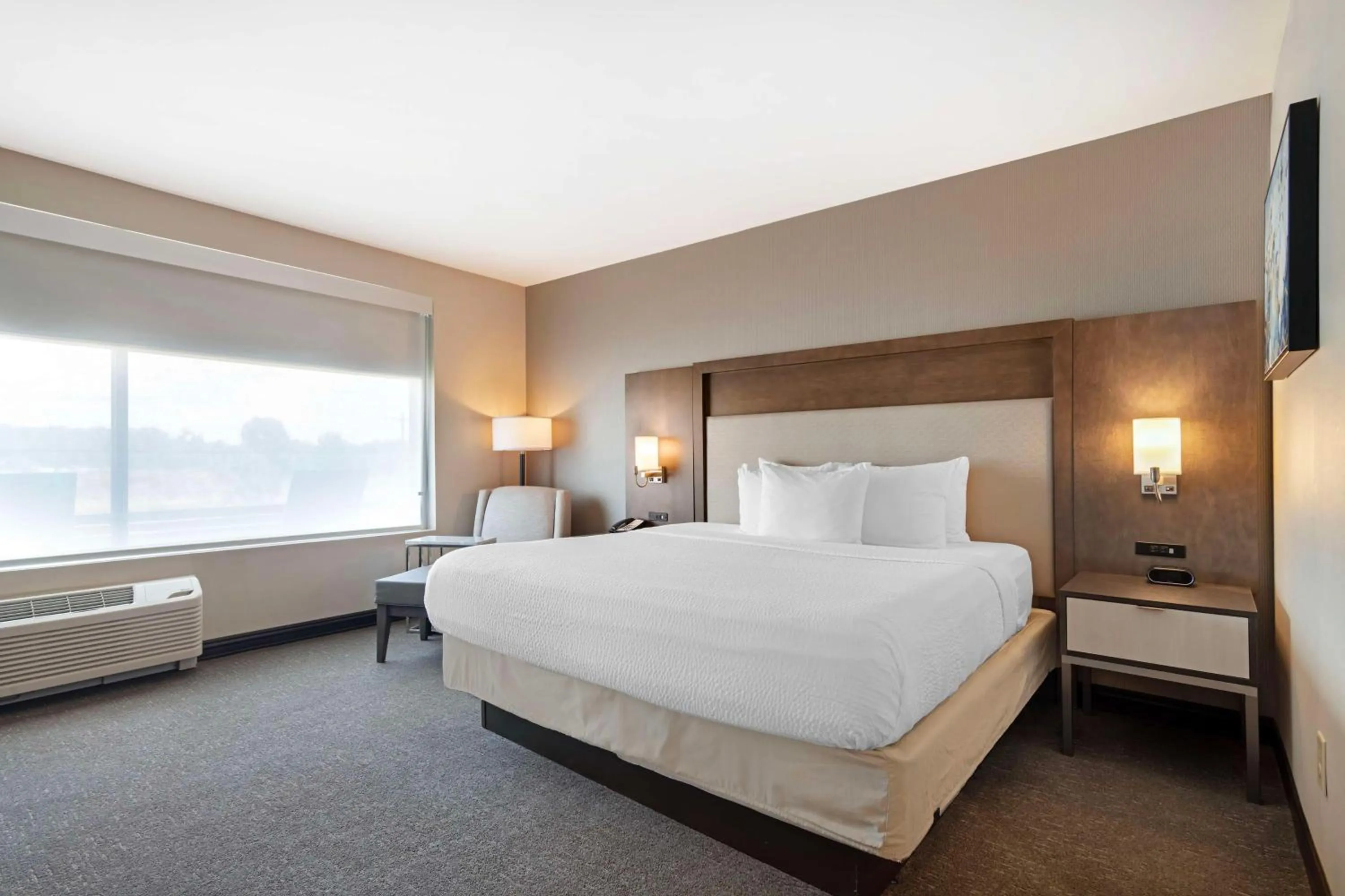 One-Bedroom King Suite with Sofa Bed, Kitchenette and Park View - Disability Access/Non-Smoking in Best Western Plus Executive Residency Rigby's Water World Hotel