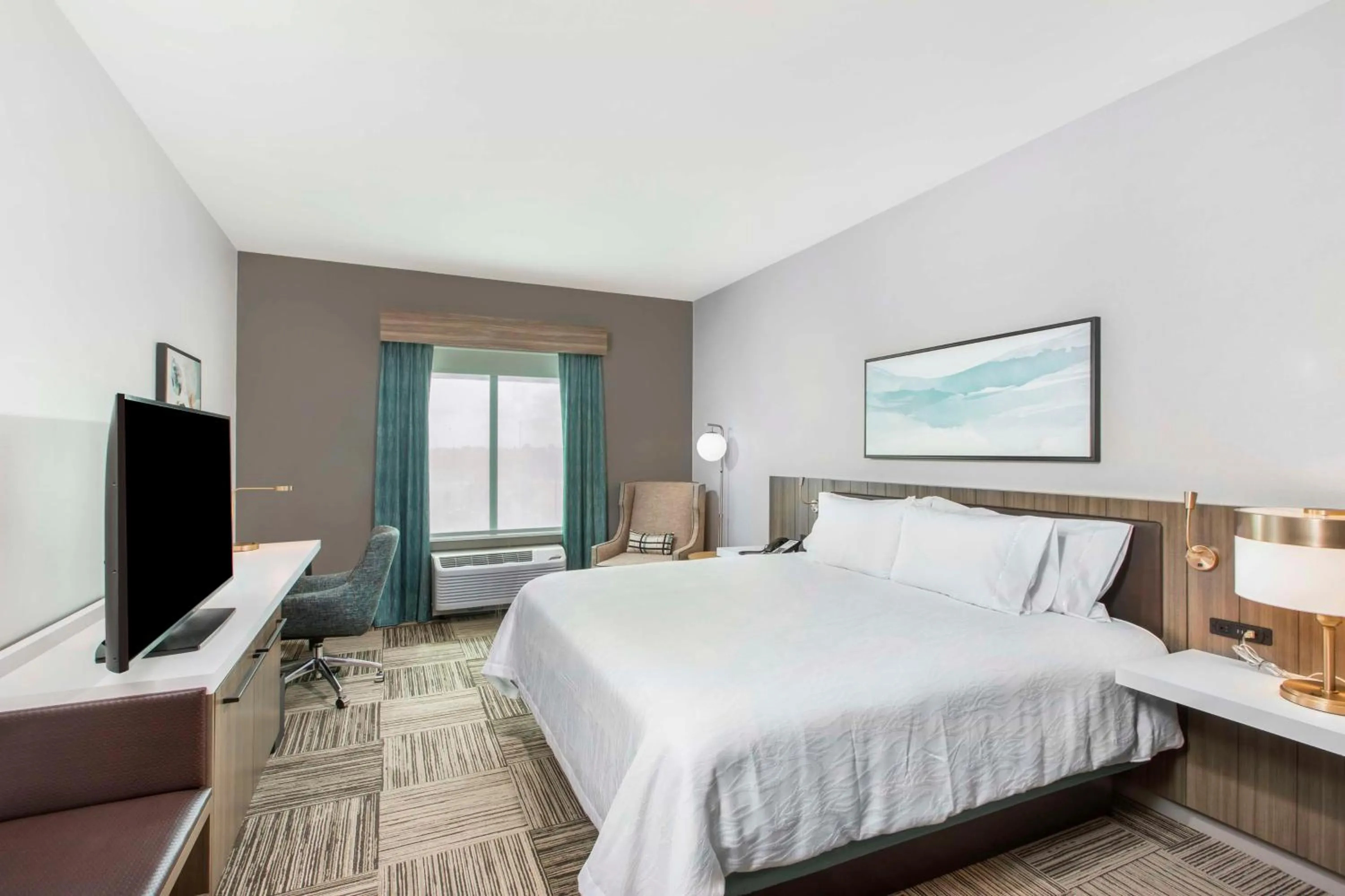 King Room - Hearing Access in Hilton Garden Inn Harlingen Convention Center, Tx