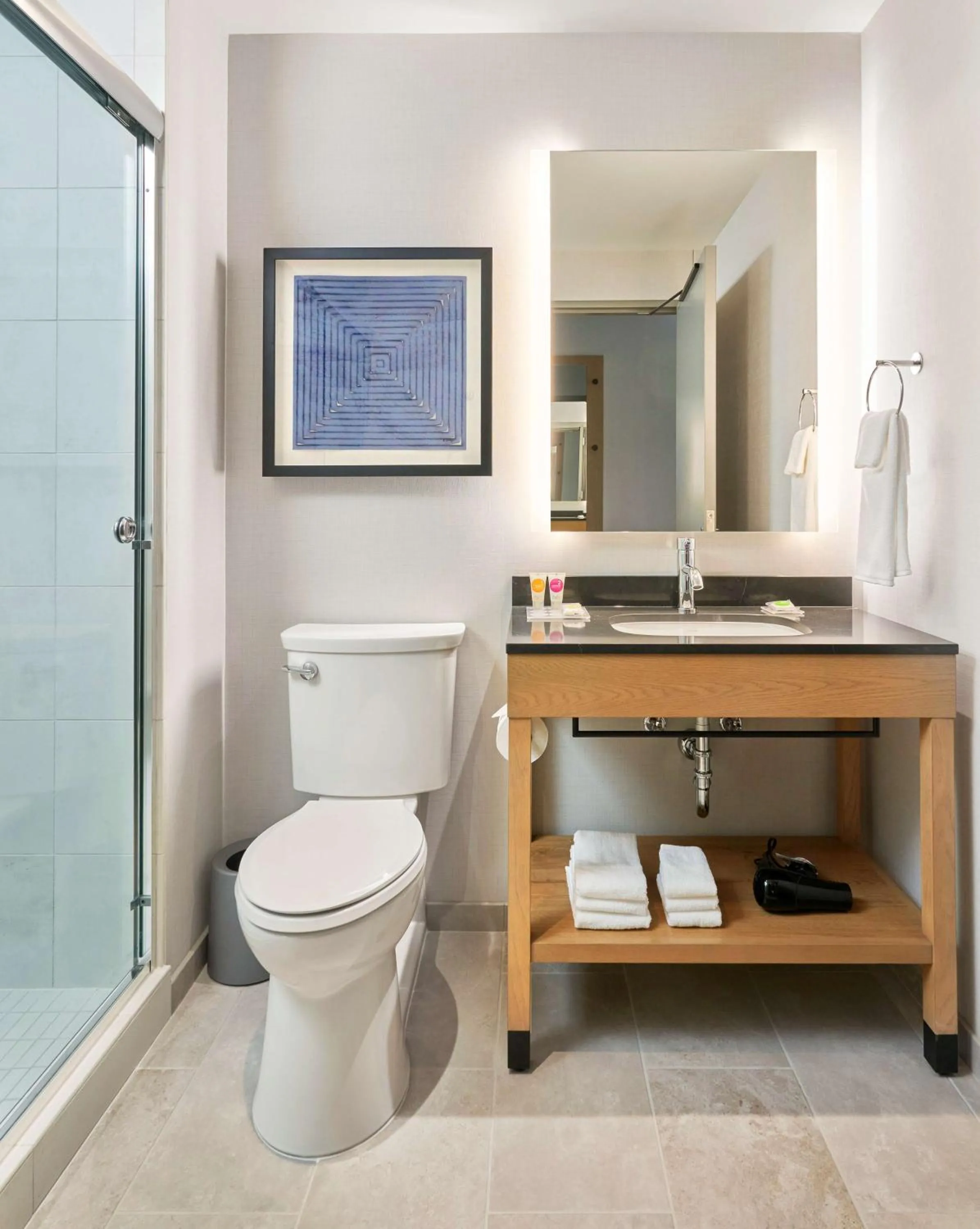 King Room - High Floor in Hyatt Place Chicago Medical/University District