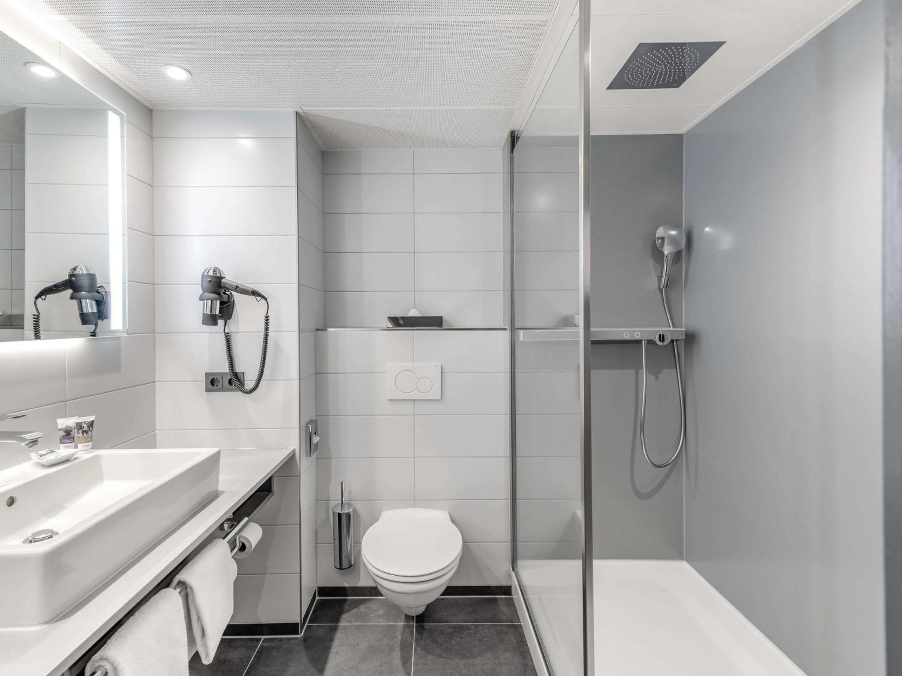 Standard Double Room in Mercure Hotel Freiburg am Münster