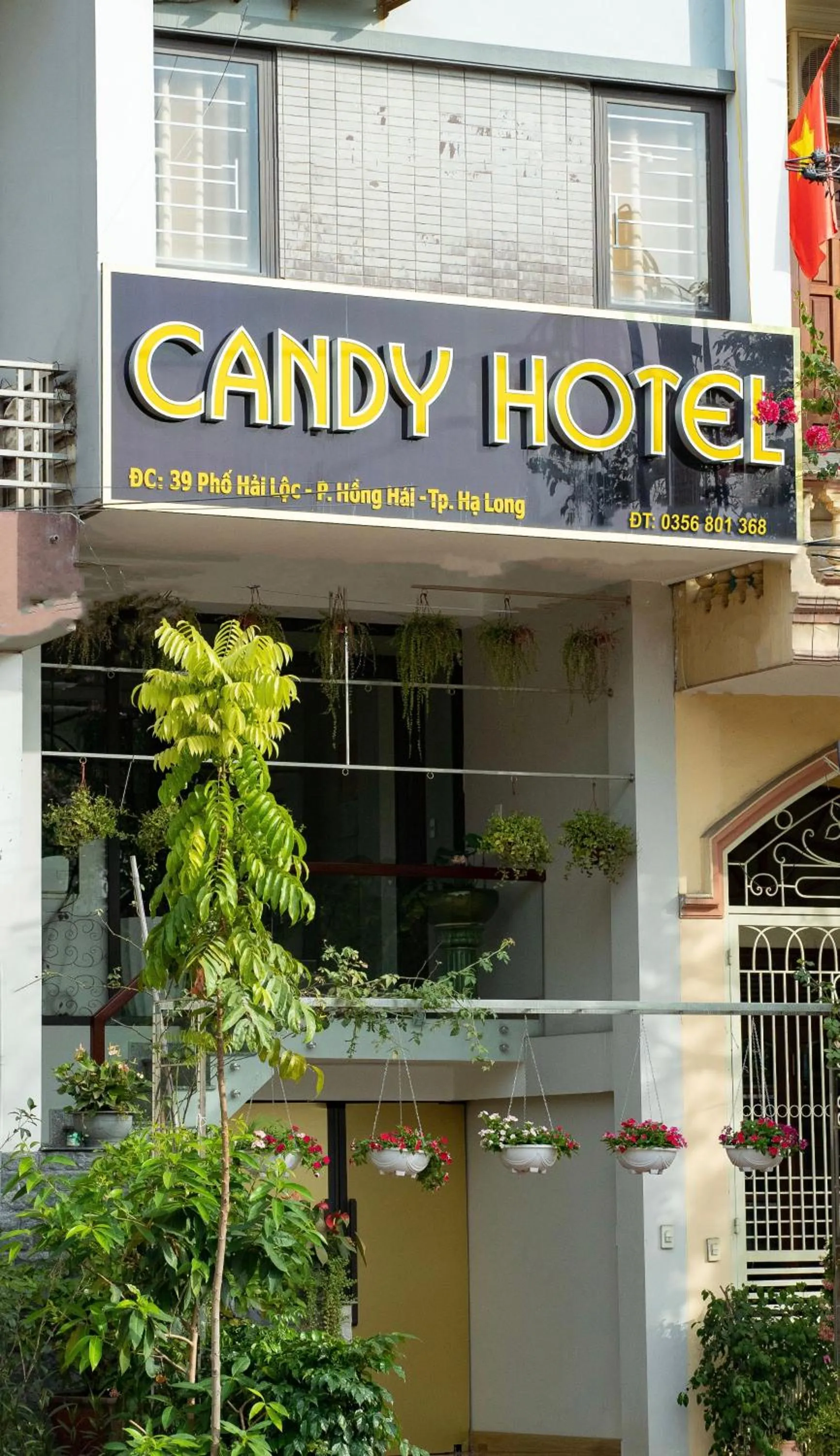 Candy Hotel Hạ Long