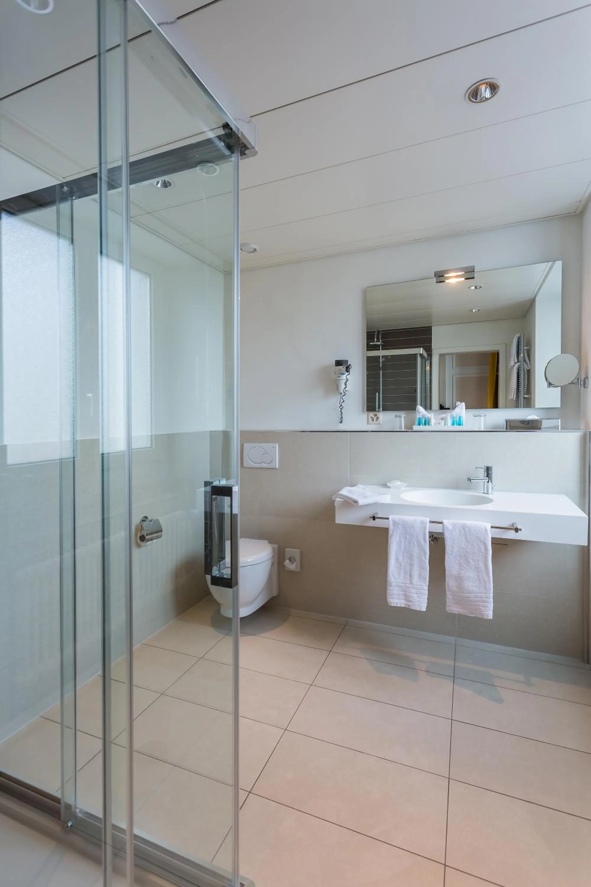 Double Room with Balcony in Hotel Euler Basel