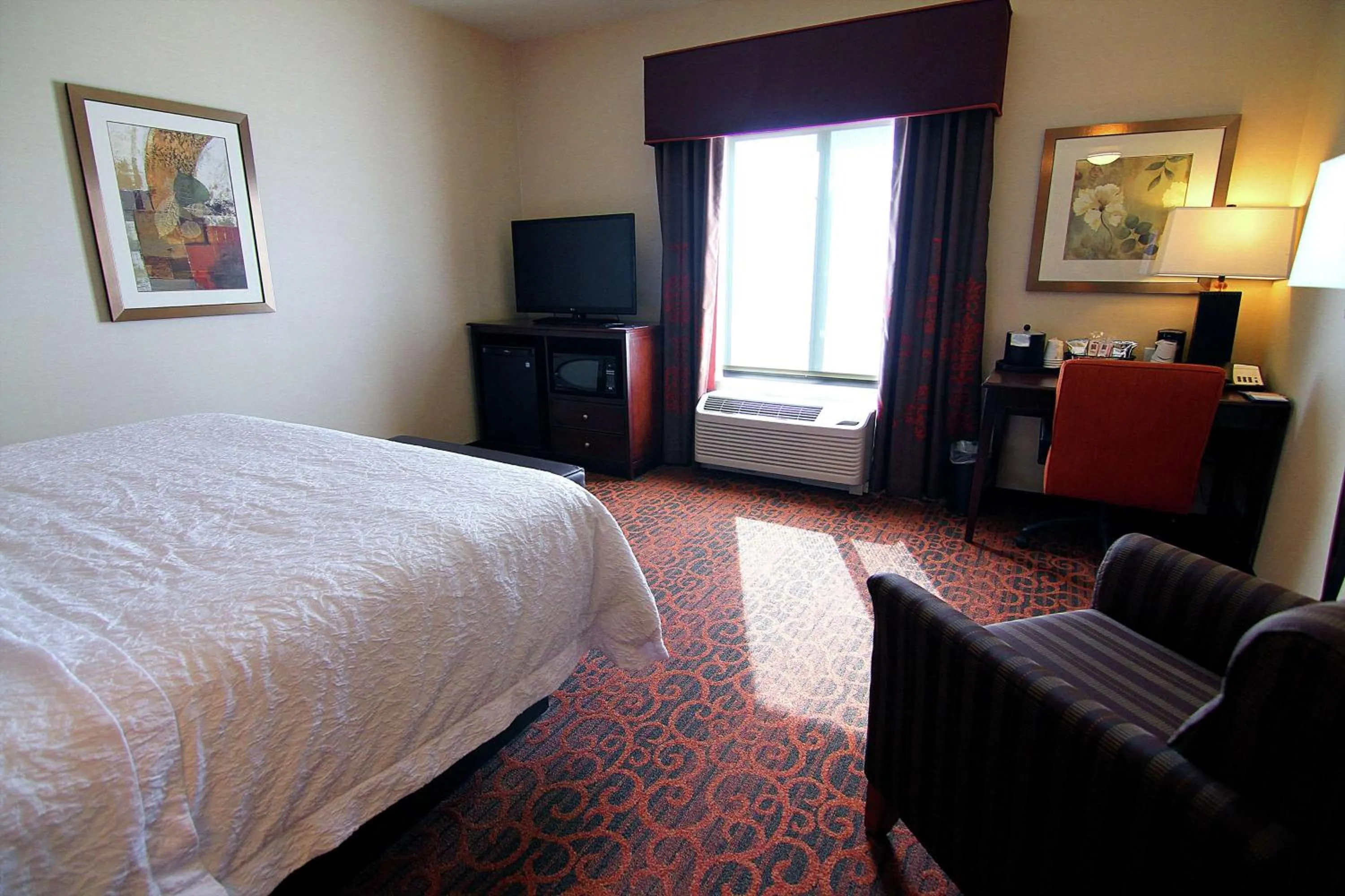King Room with Accessible Tub - Mobility and Hearing Access/Non-Smoking in Hampton Inn & Suites Grand Forks