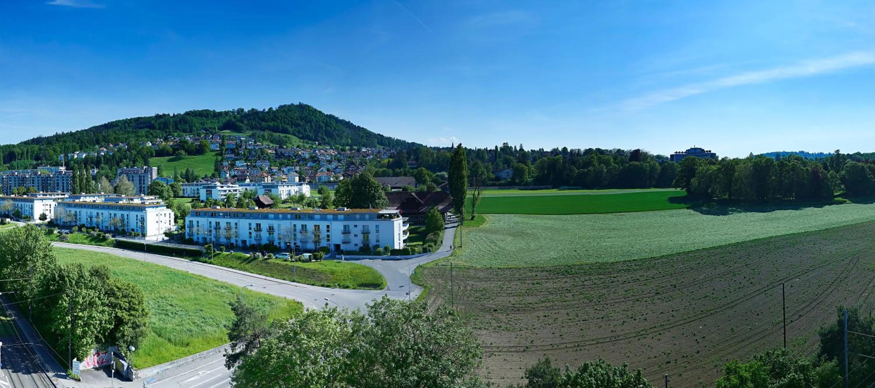 Standard Double or Twin Room - single occupancy in Hotel Ambassador