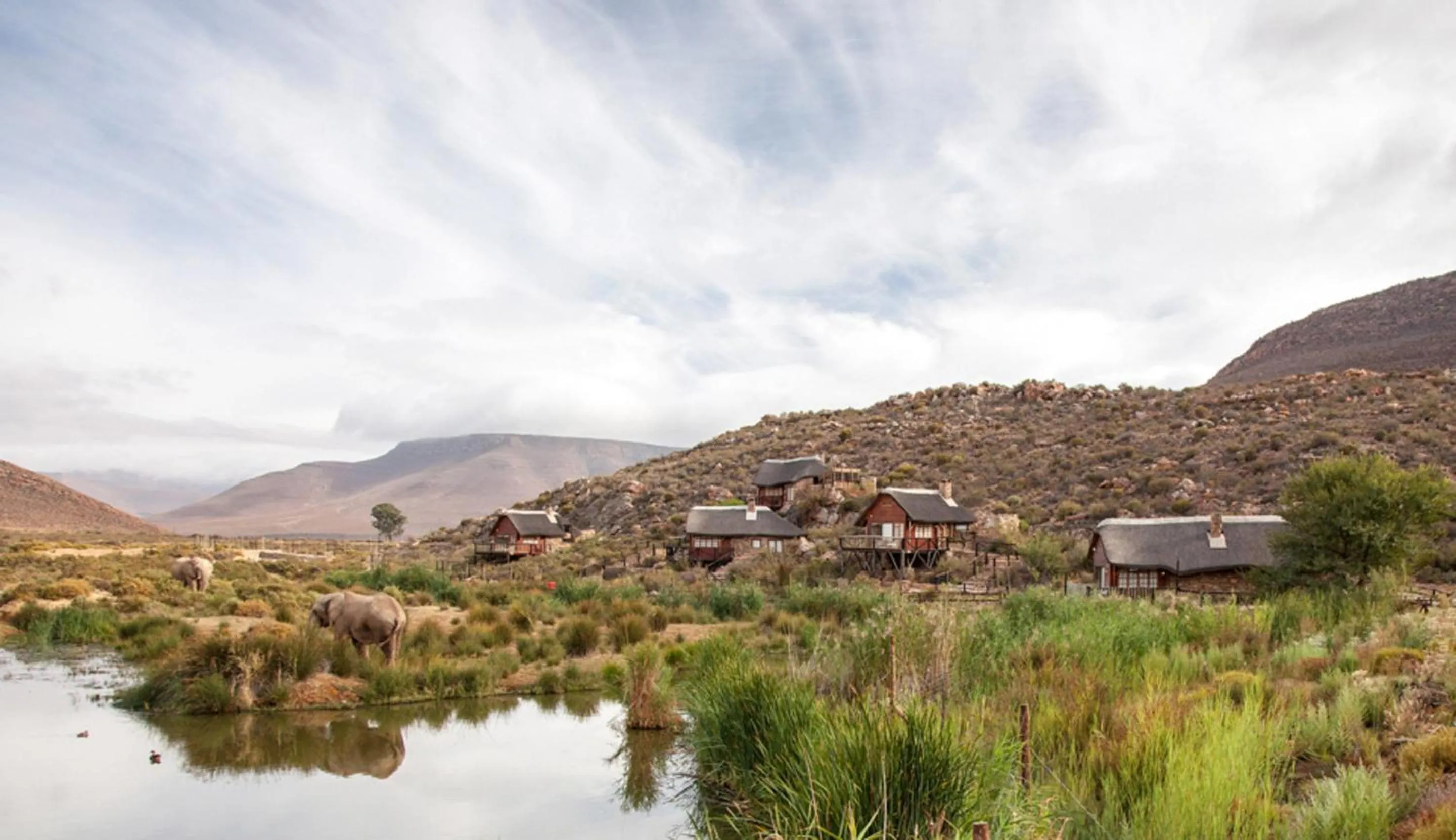 Premier Luxury Cottage King and Twin with 2 Game Drives - single occupancy in Aquila Private Game Reserve & Spa