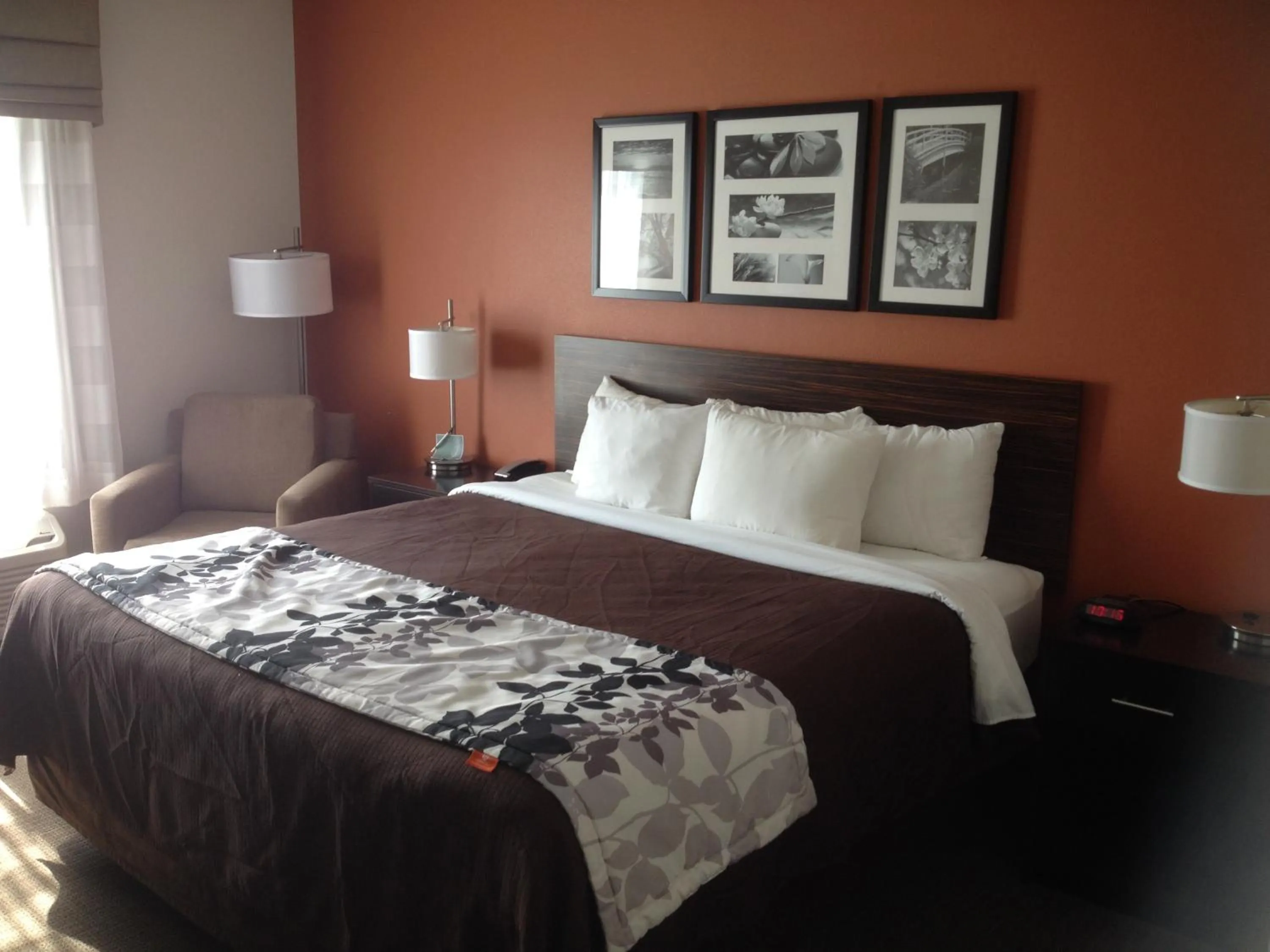 Queen Room with Two Queen Beds - Accessible/Non-Smoking  in Sleep Inn & Suites Elk City Route 66