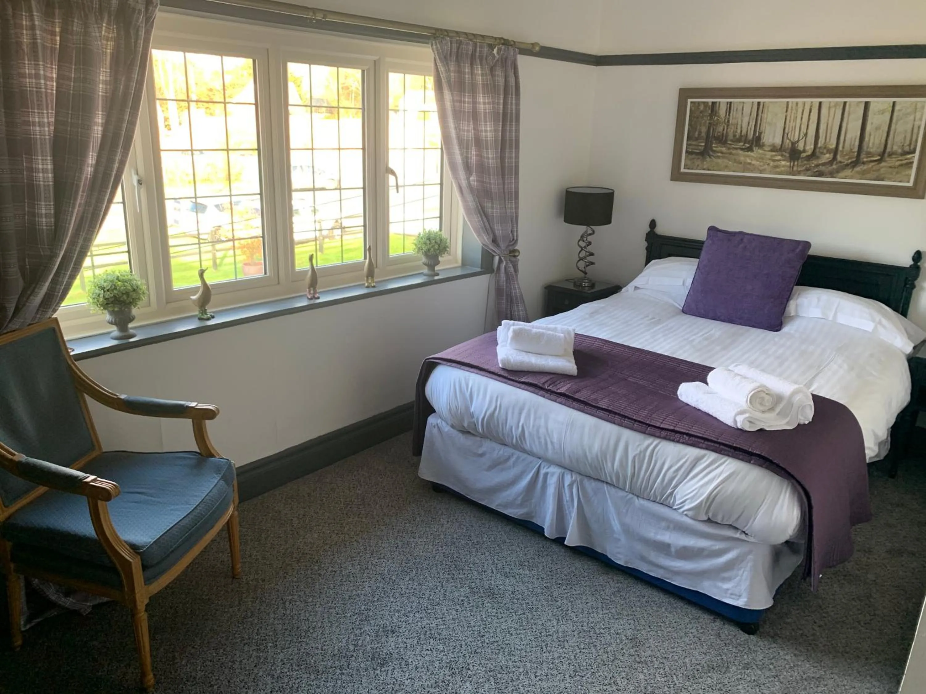 Double Room with Private Bathroom in The George Inn Middle Wallop