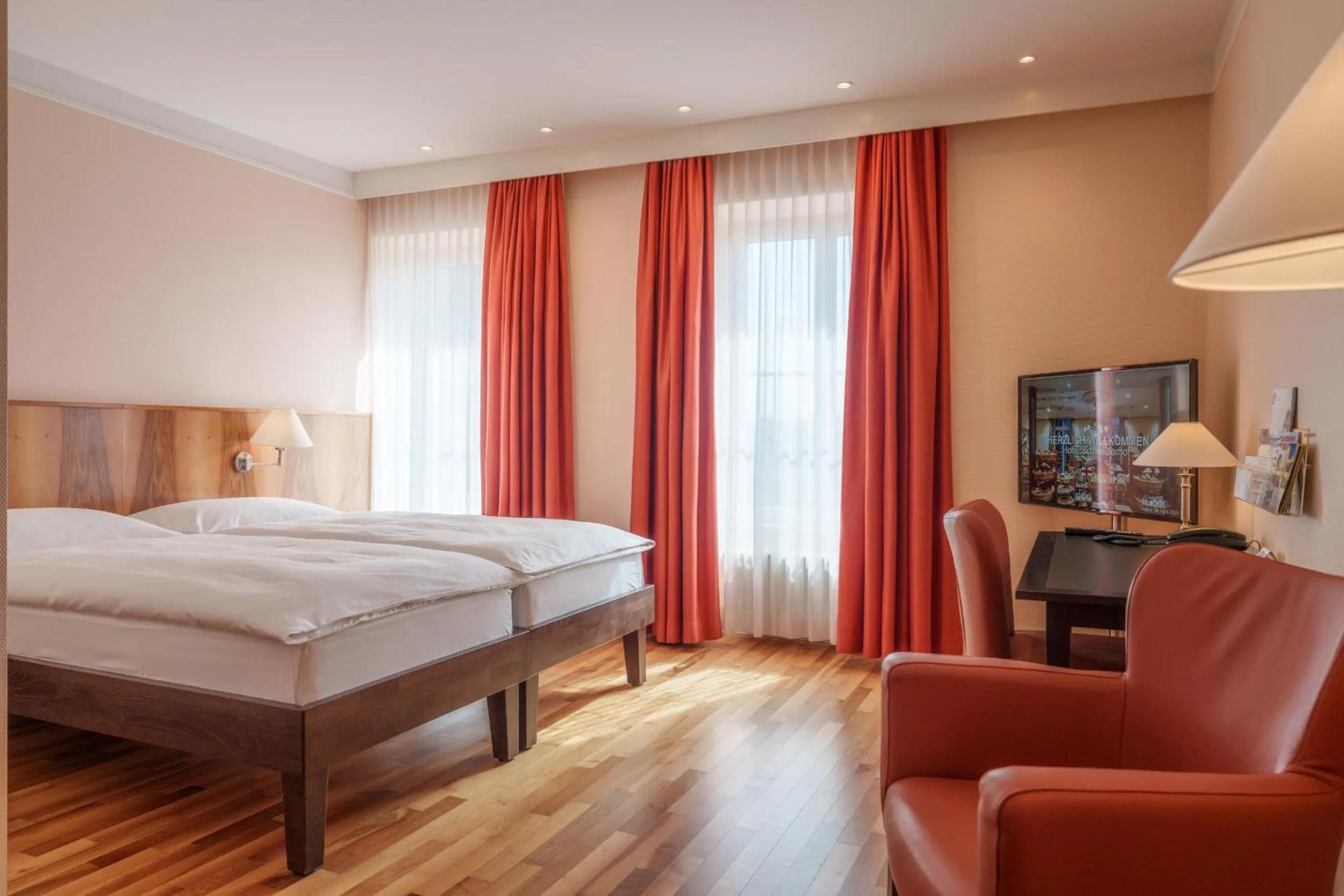 Ambiente Double Room in Hotel Schweizerhof Basel