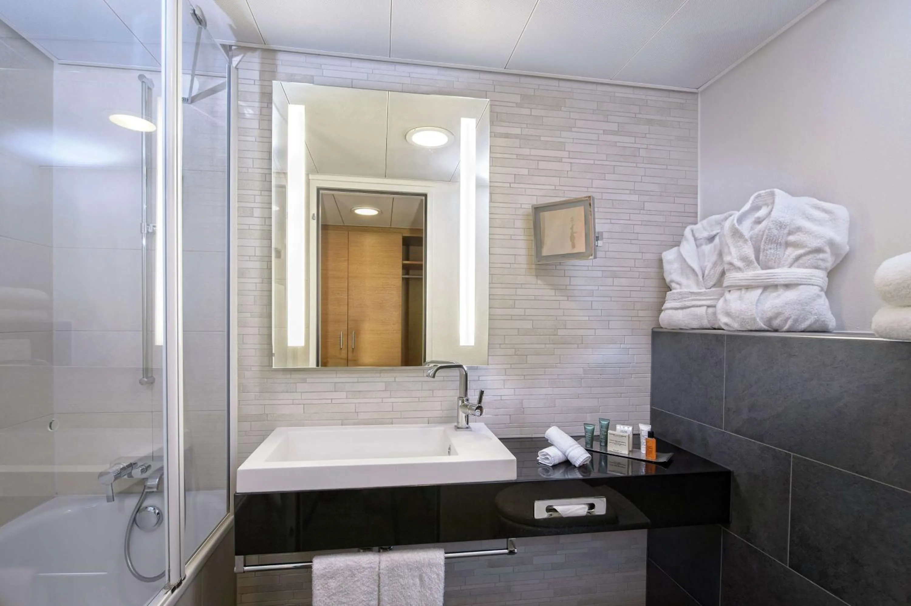 Executive Queen Room with Executive Lounge Access in Hilton Zurich Airport