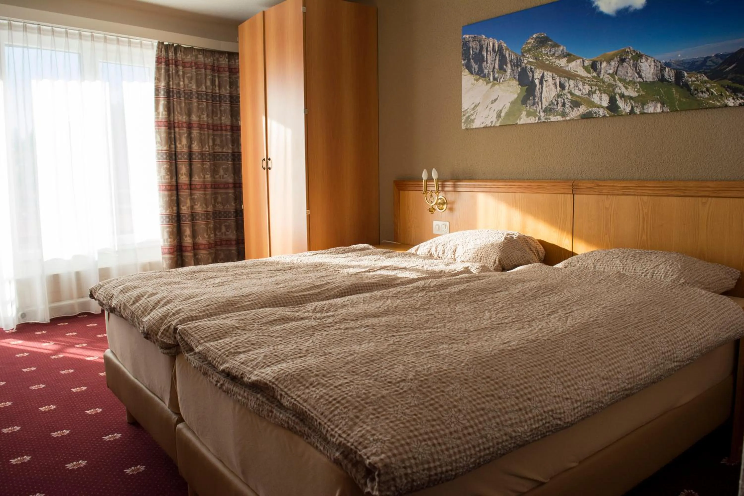 Single Room in Alpine Classic Hotel