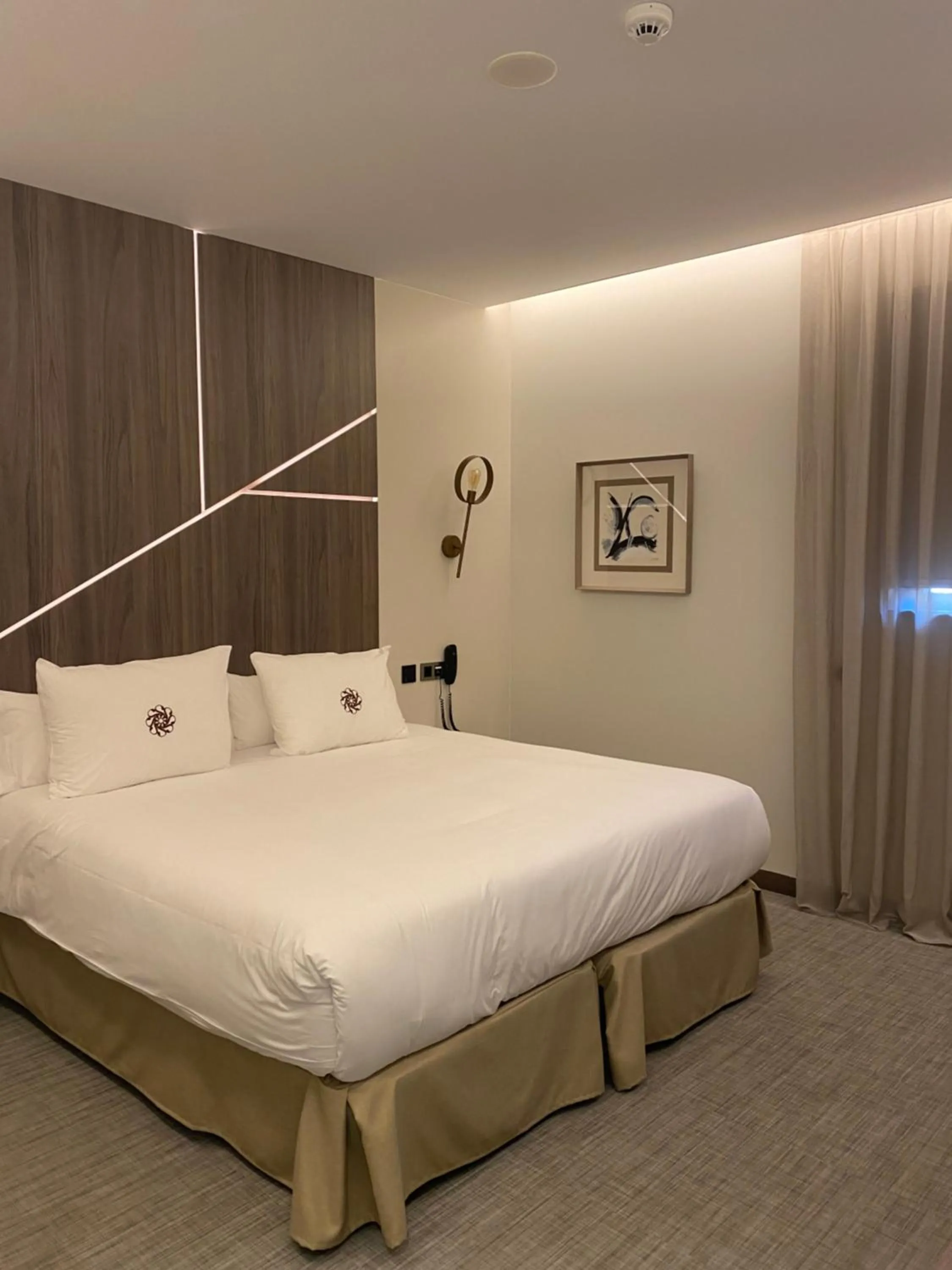 Double or Twin Room in Ansares Hotel